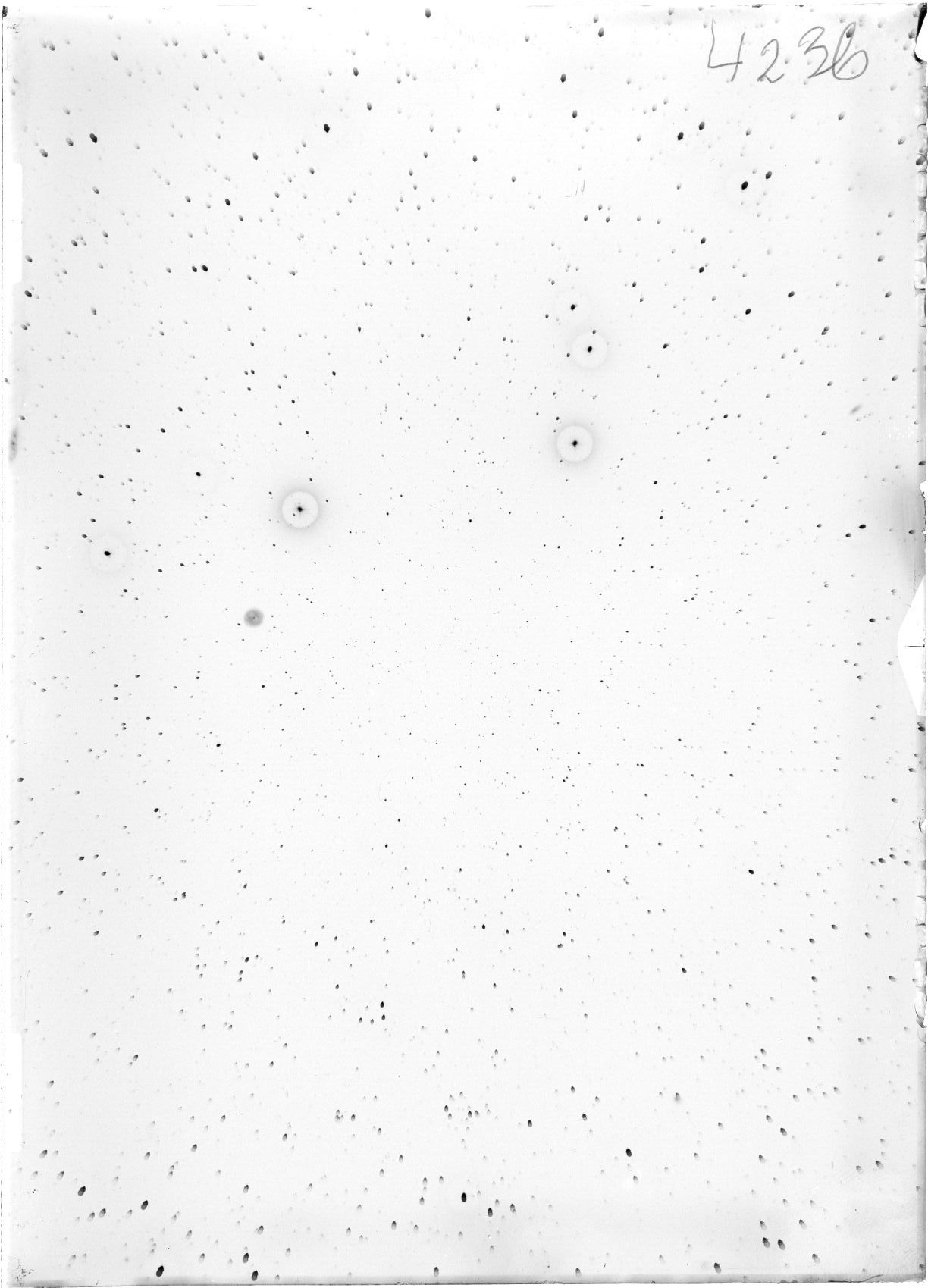 Scan ST04236