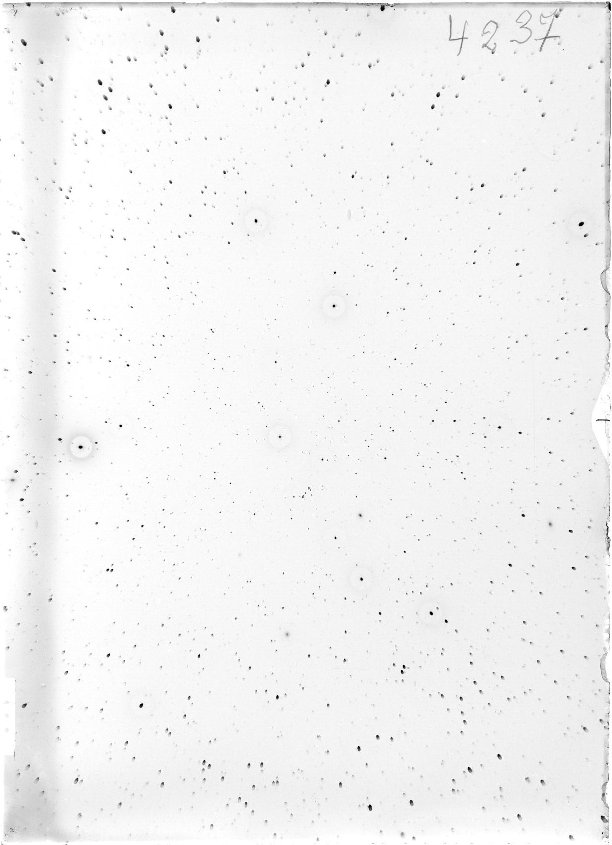 Scan ST04237