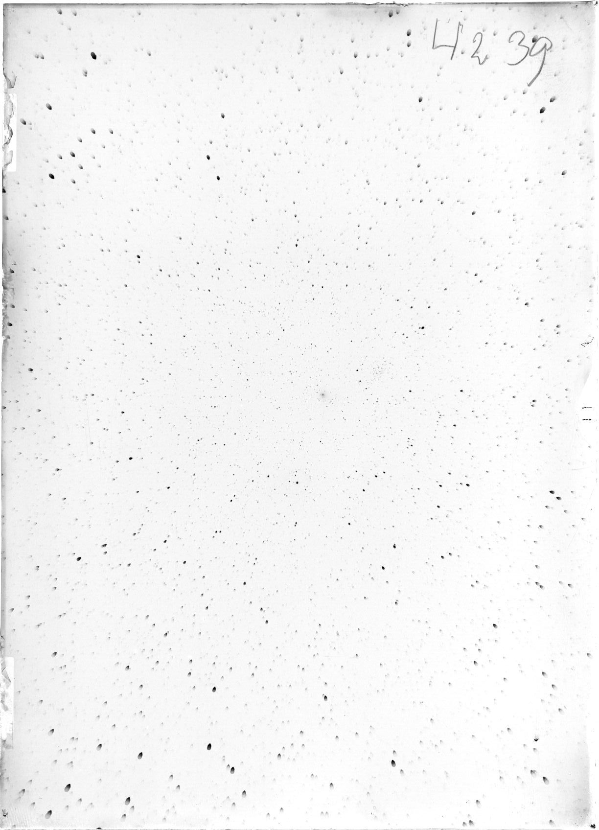 Scan ST04239