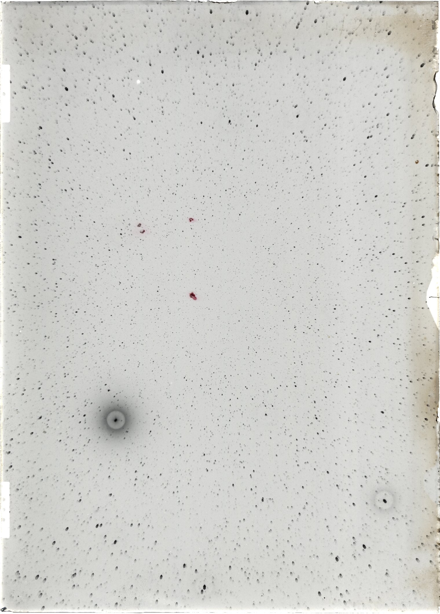 Scan ST04245