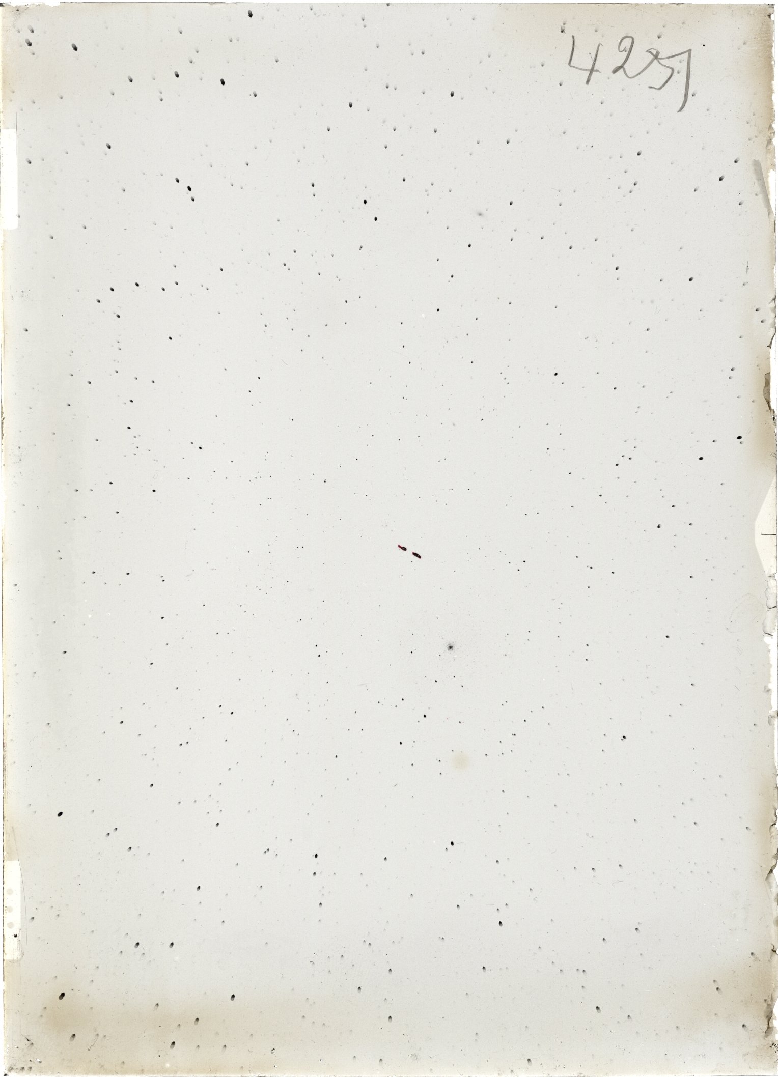 Scan ST04251