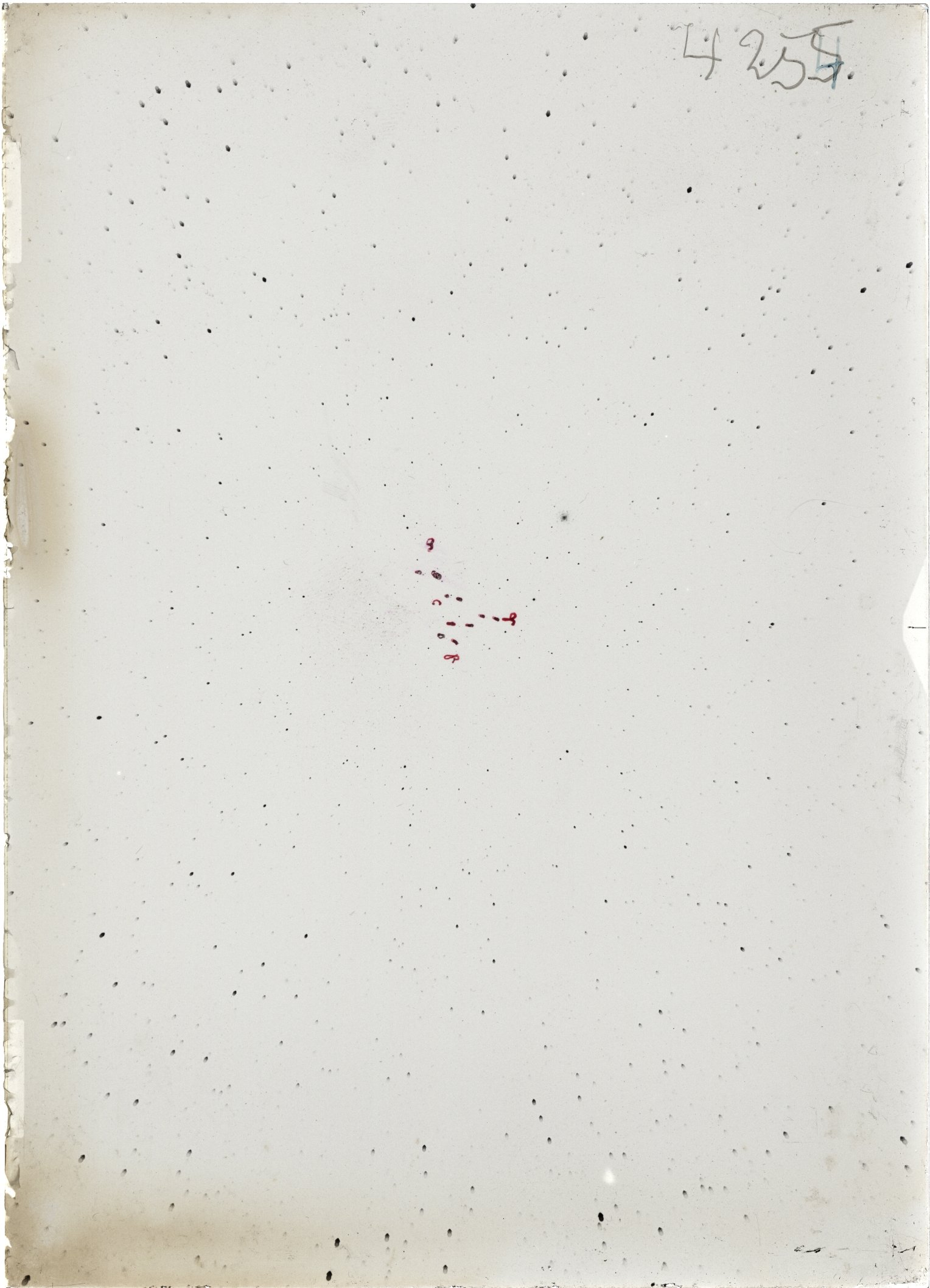 Scan ST04254