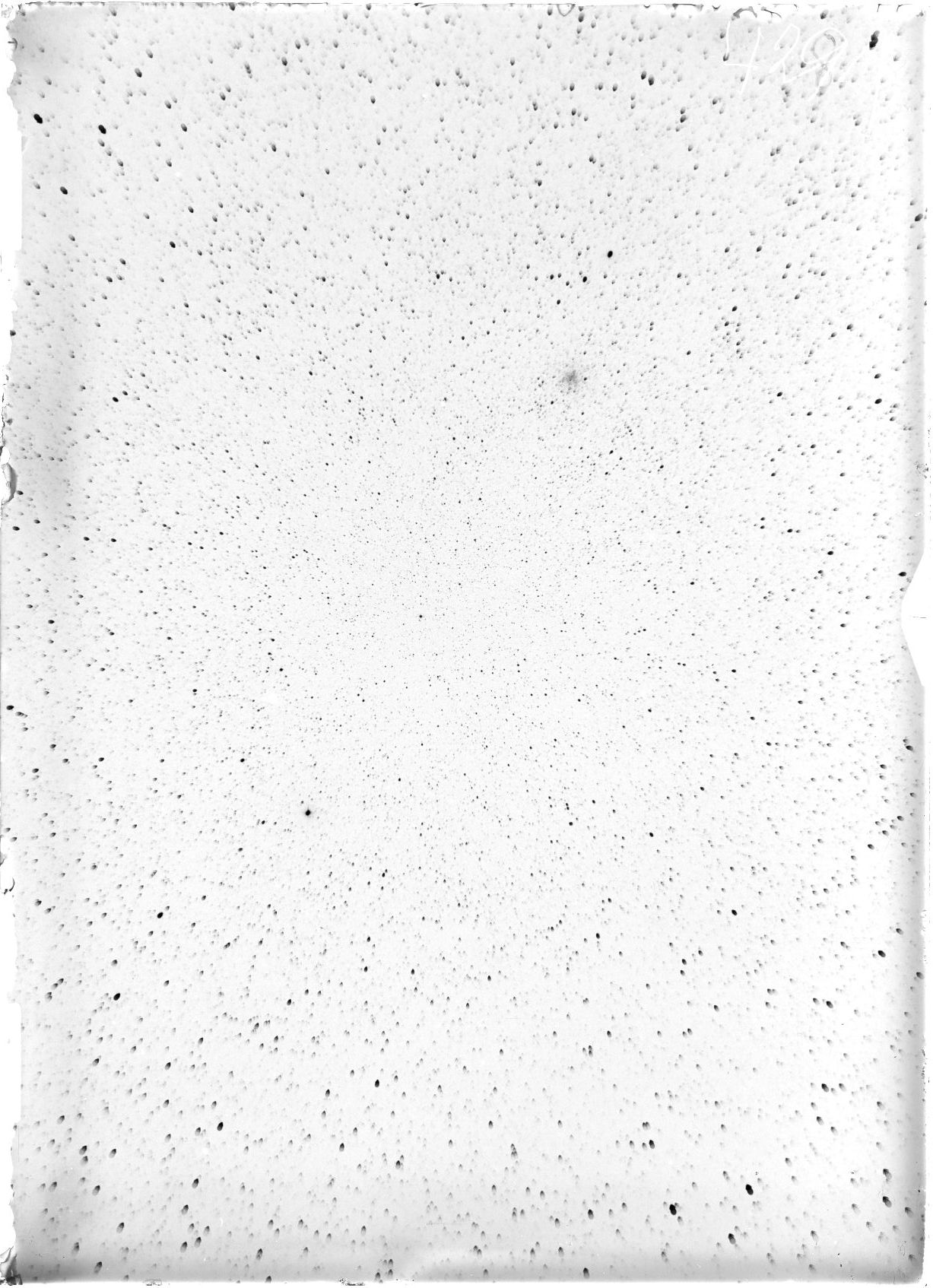 Scan ST04281