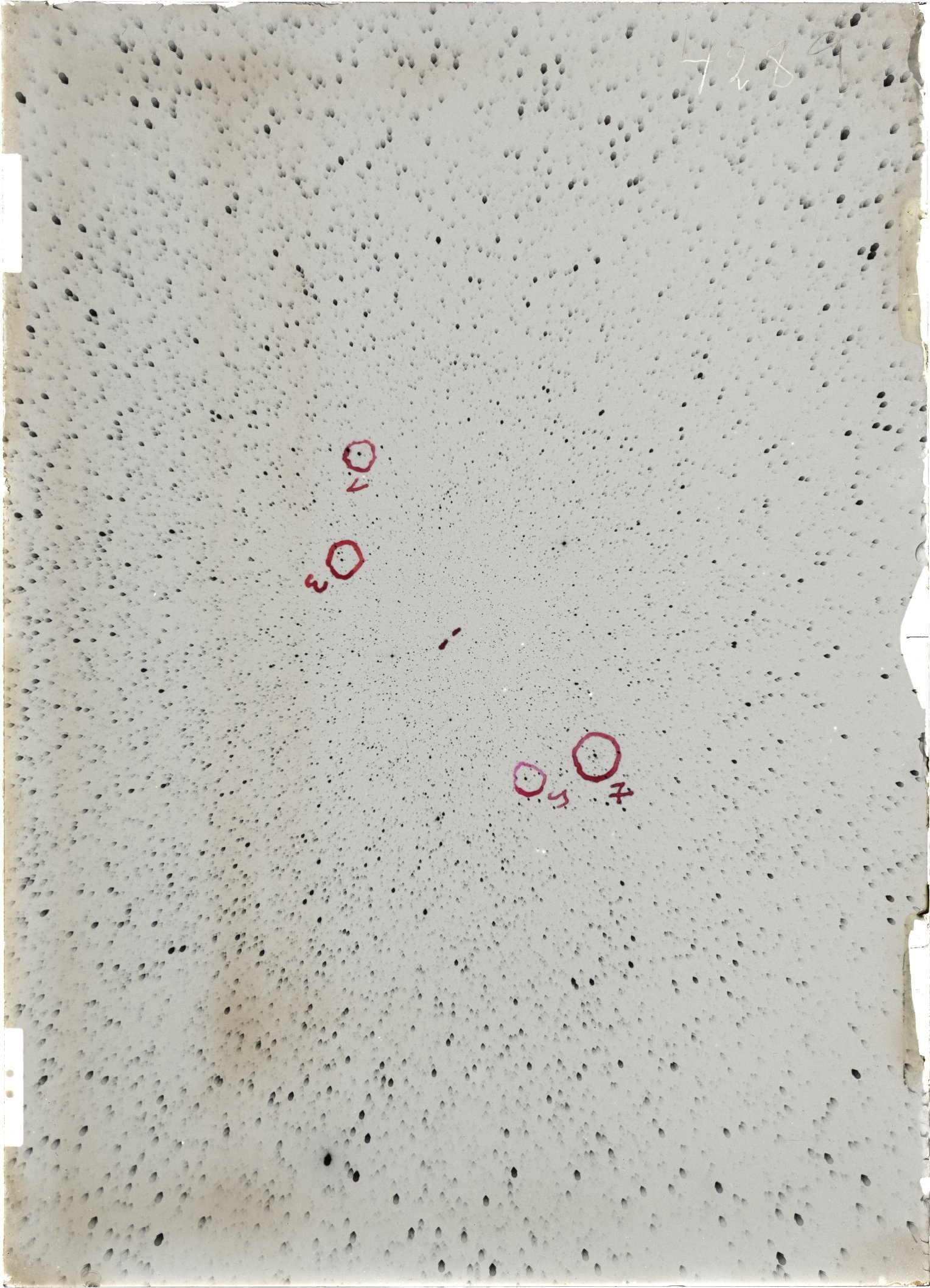 Scan ST04289
