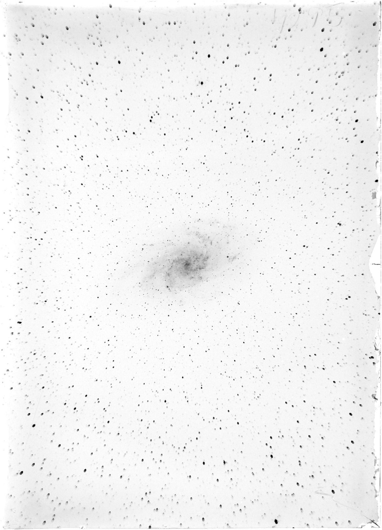 Scan ST04295
