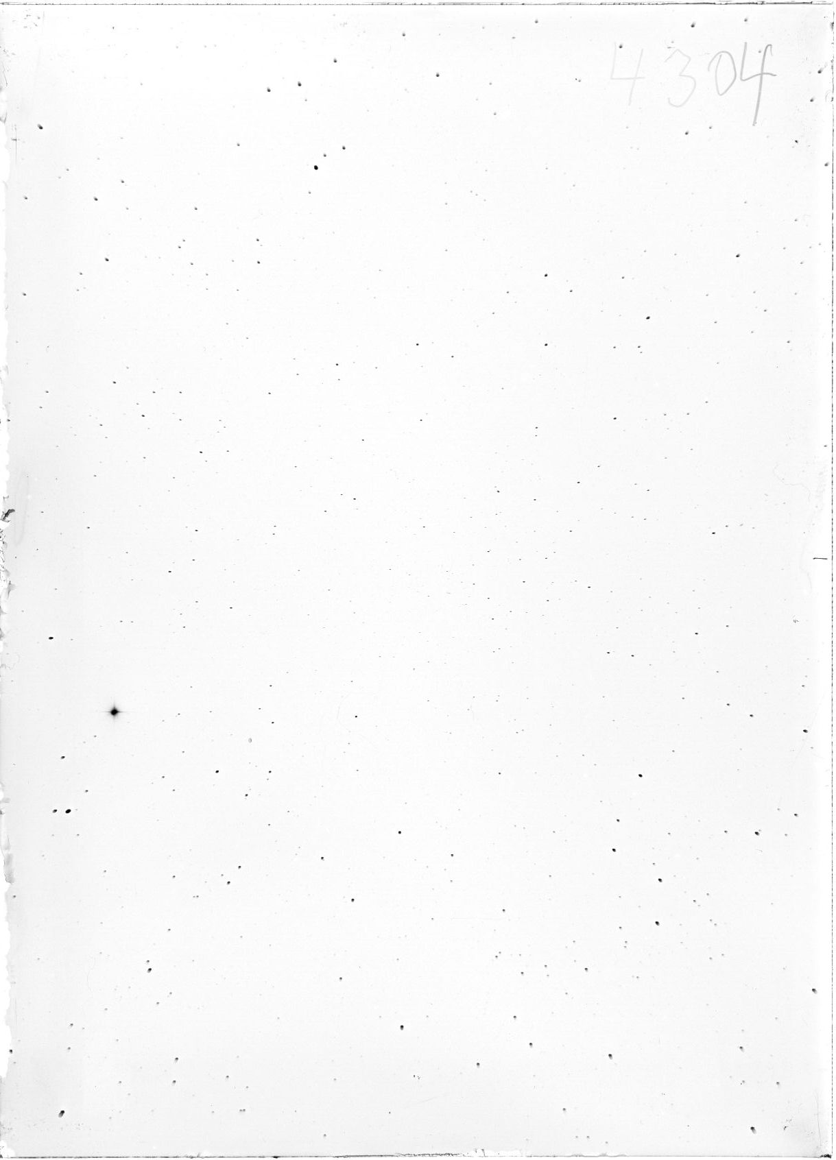 Scan ST04304
