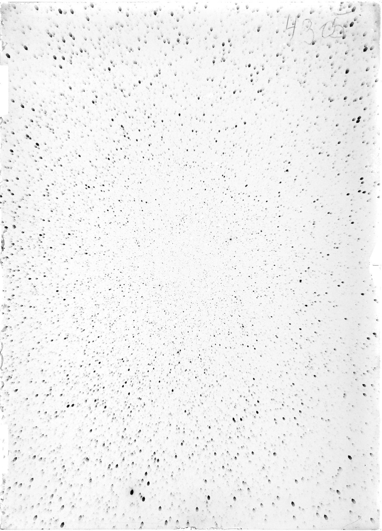 Scan ST04305