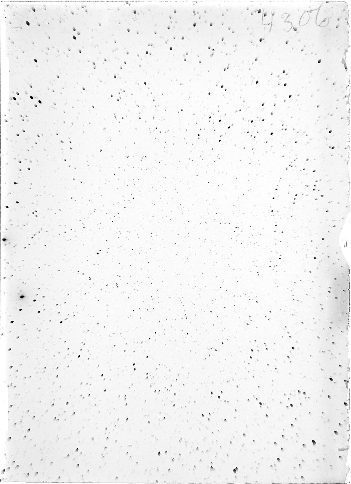 Scan ST04306