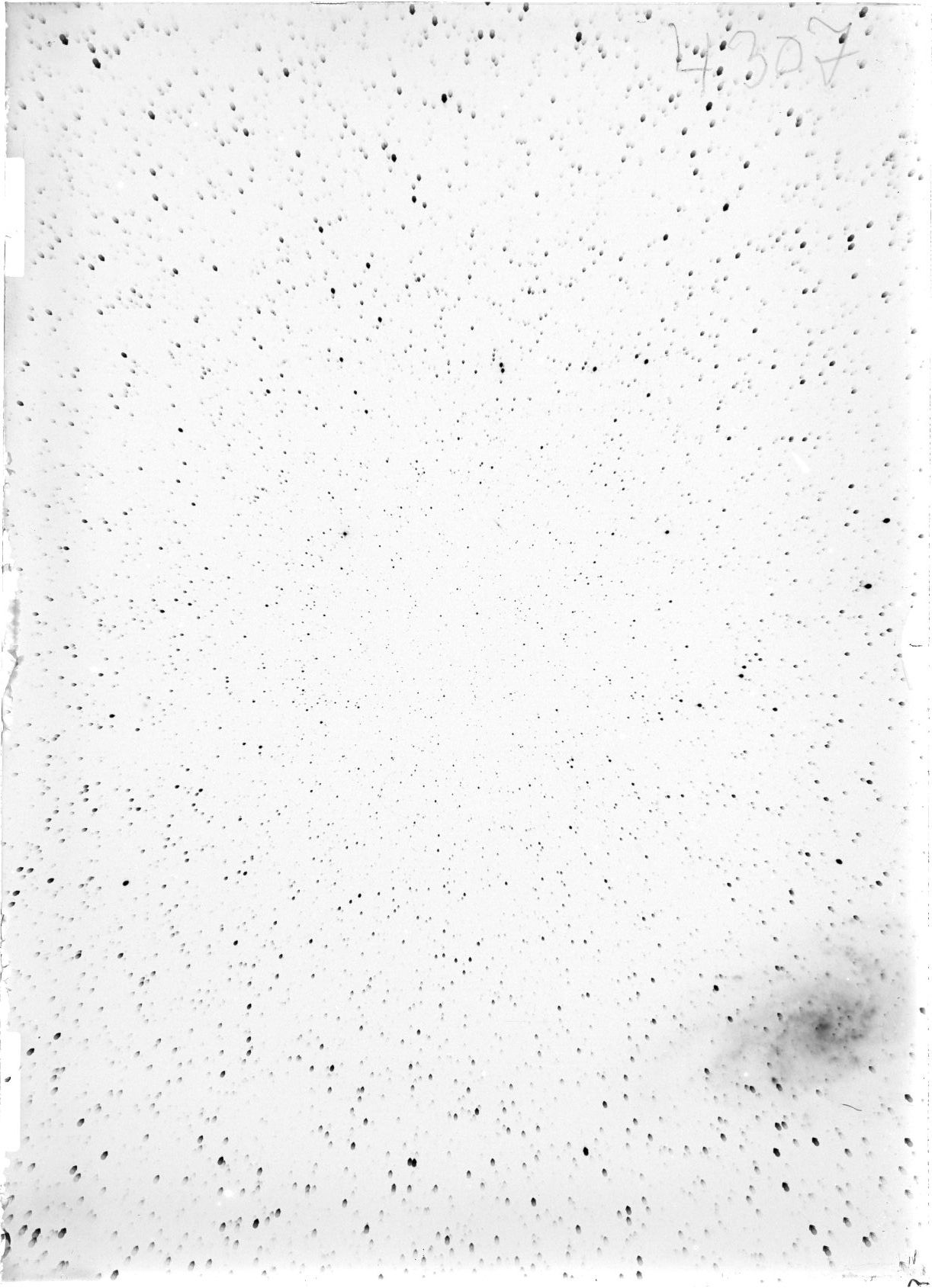 Scan ST04307