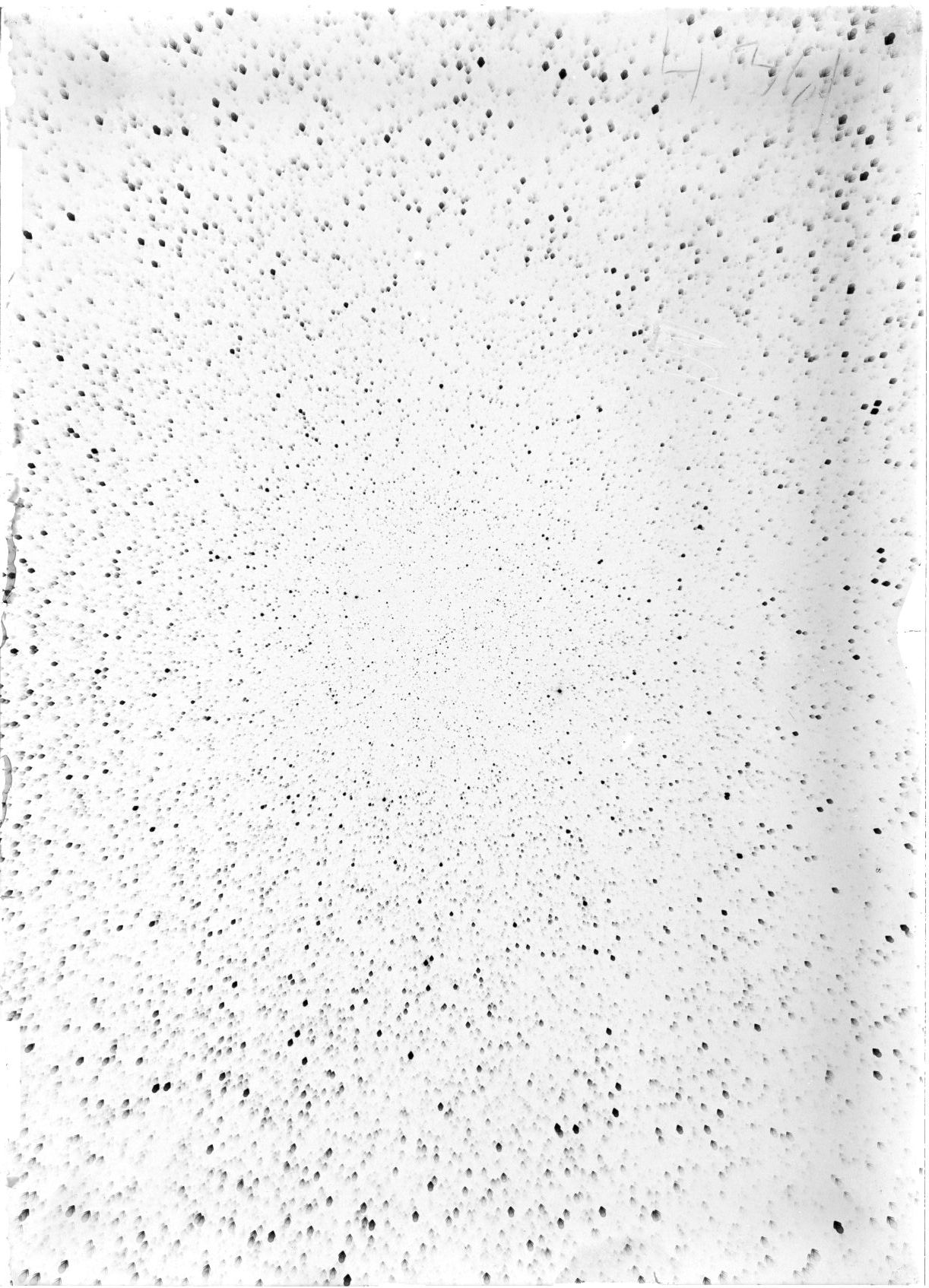 Scan ST04361