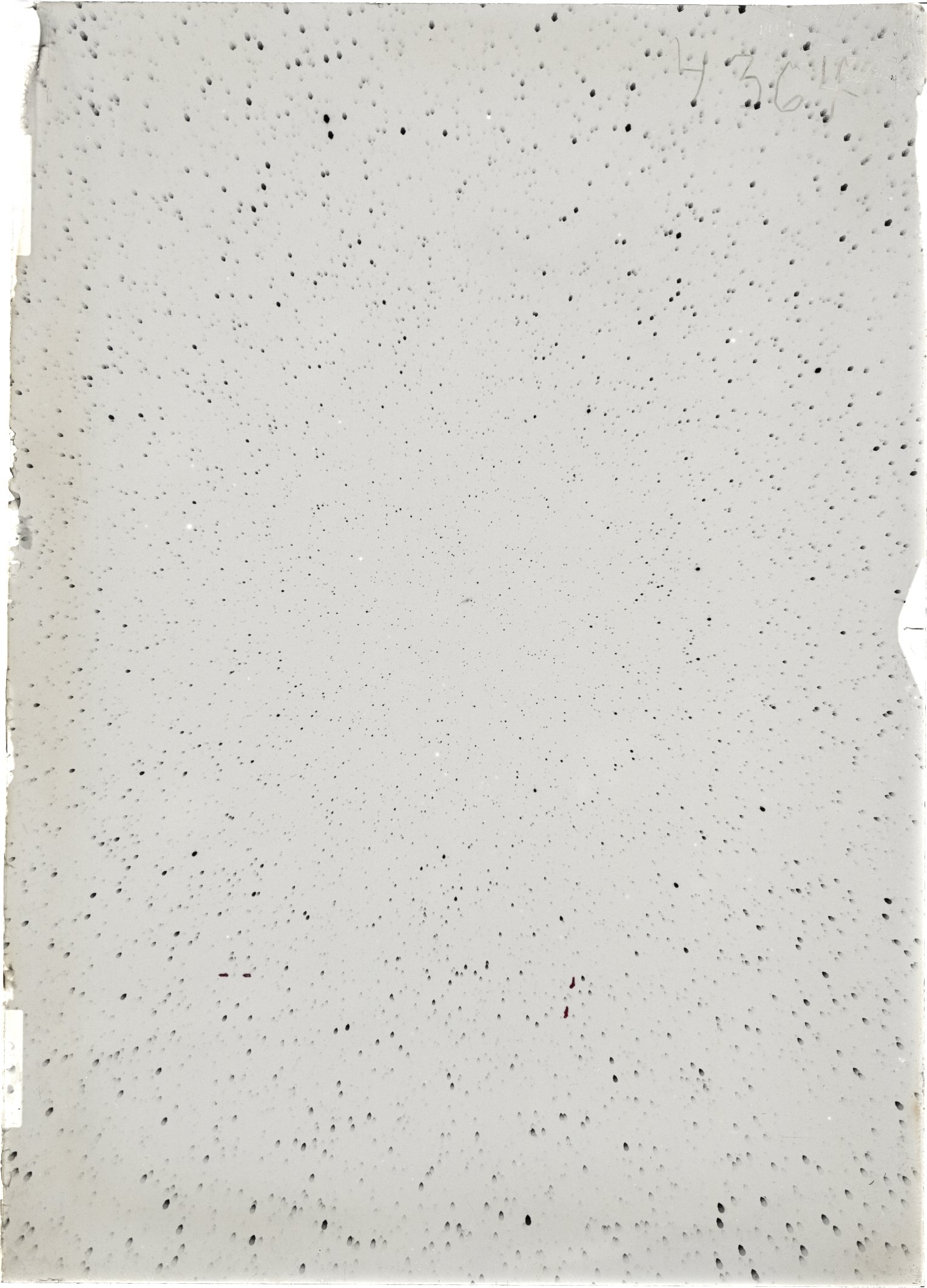 Scan ST04364