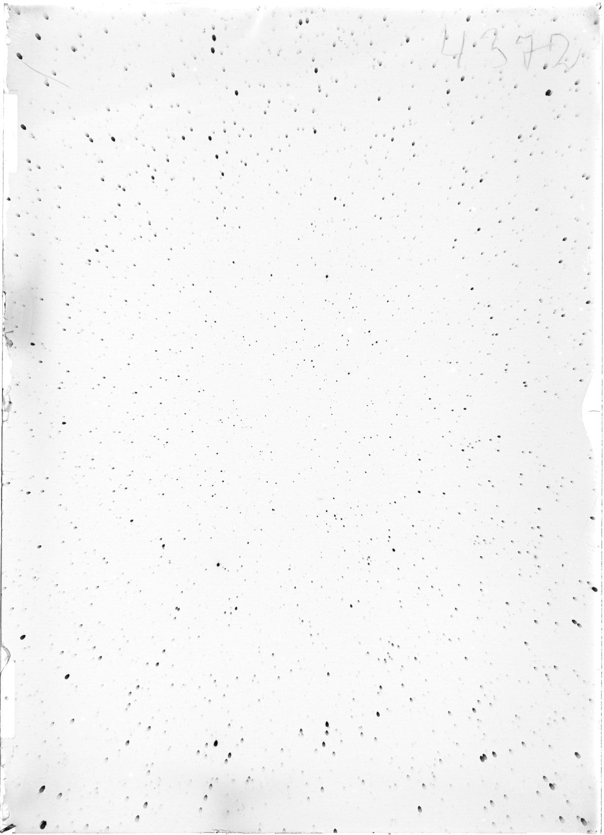 Scan ST04372
