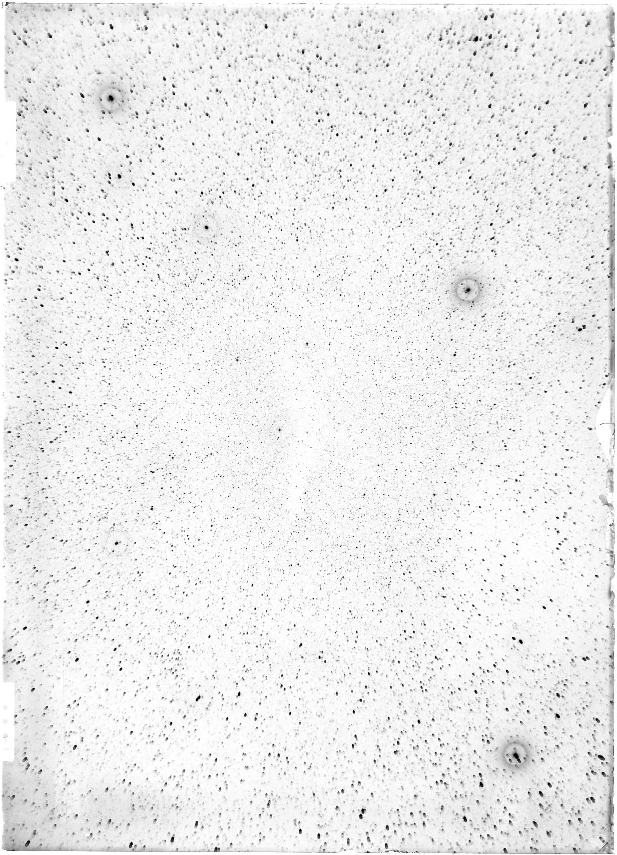 Scan ST04409