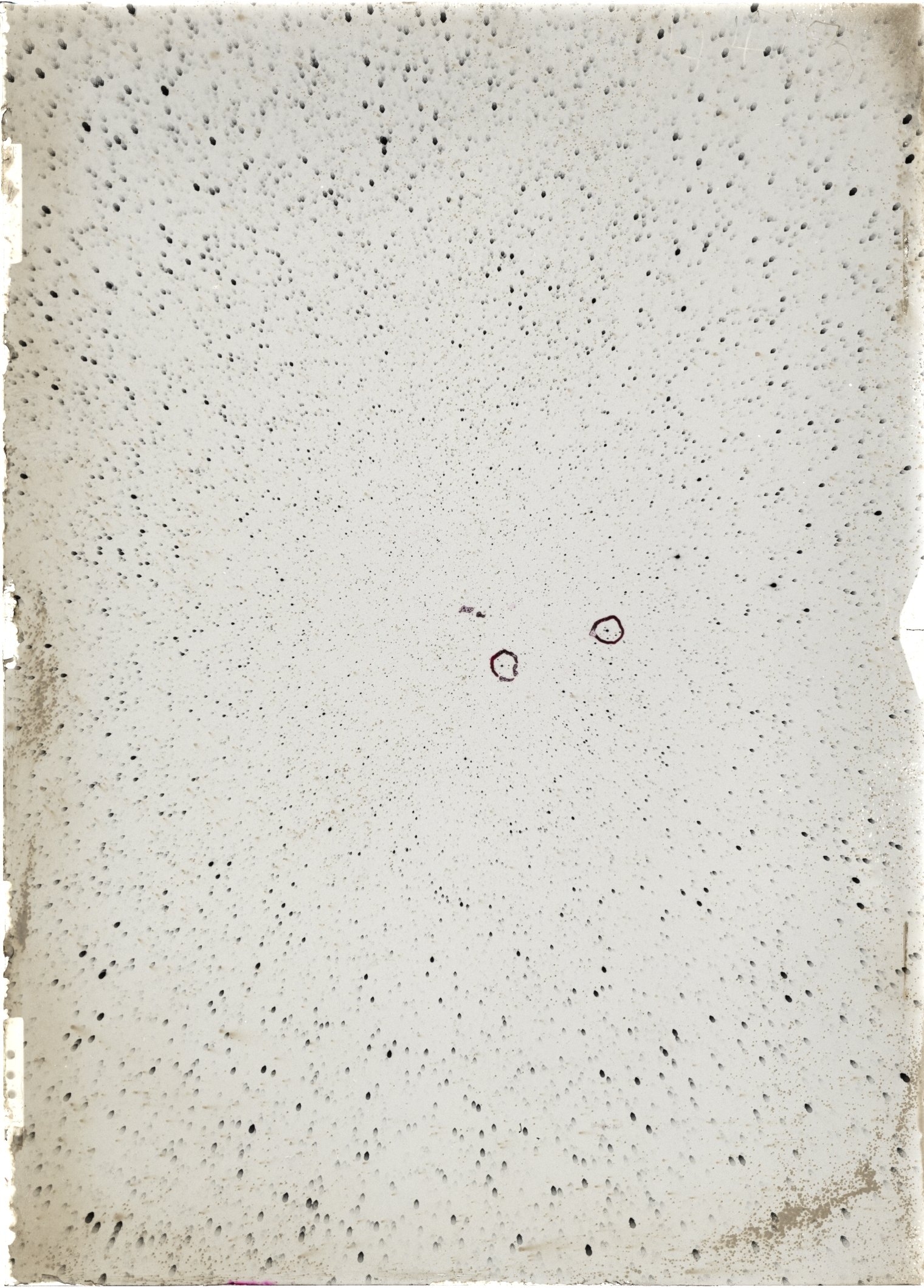 Scan ST04413