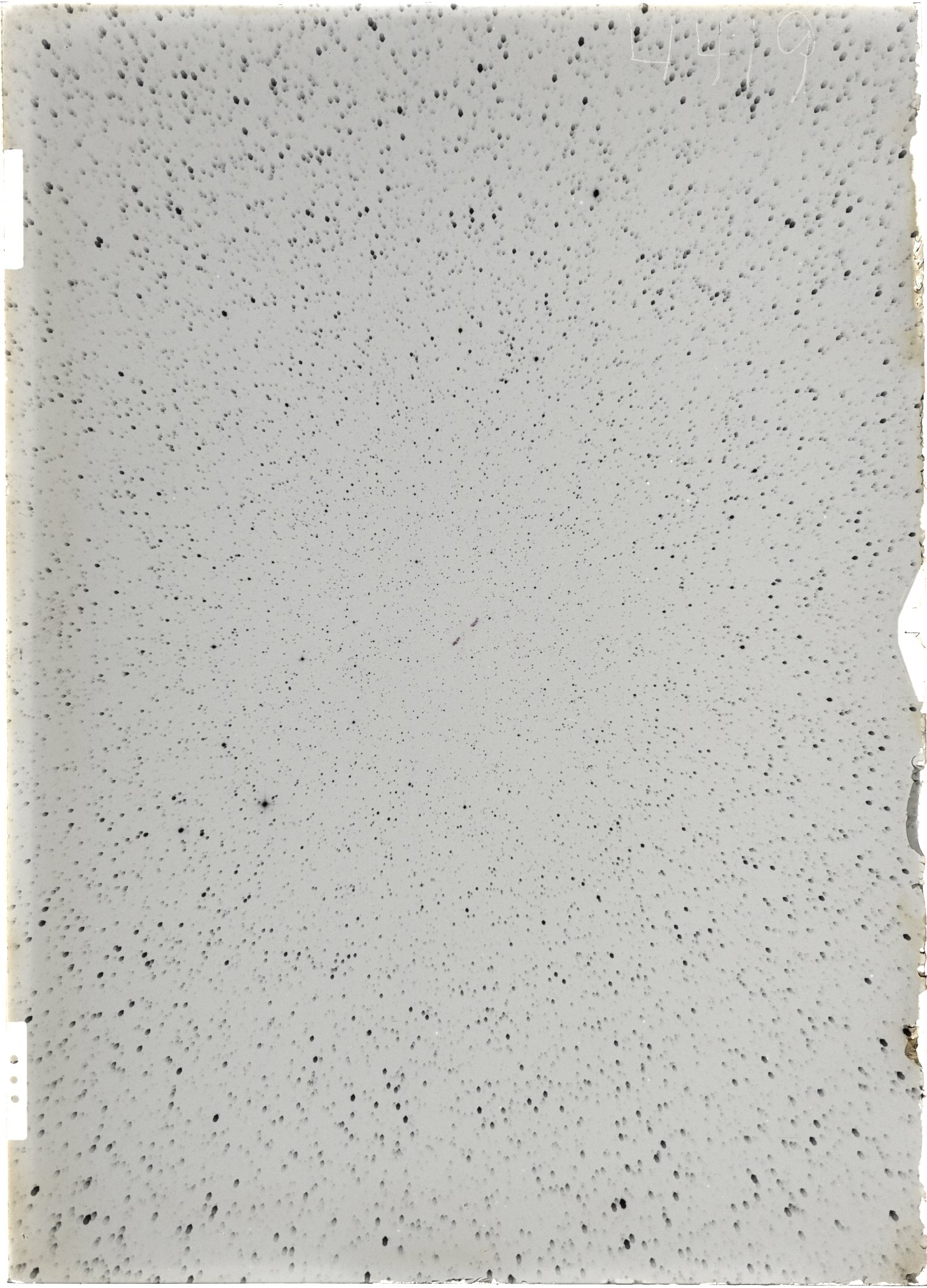 Scan ST04419