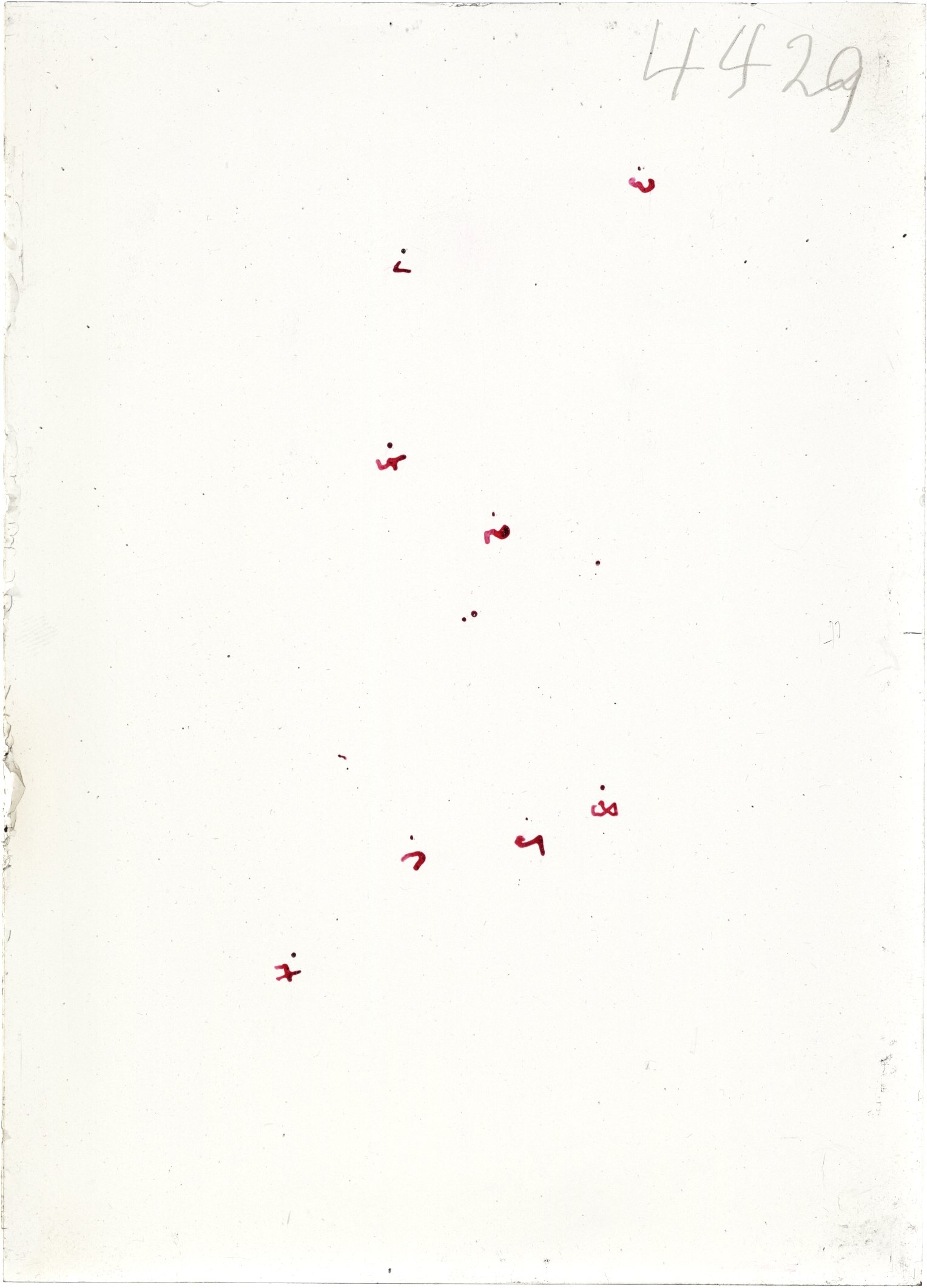 Scan ST04429