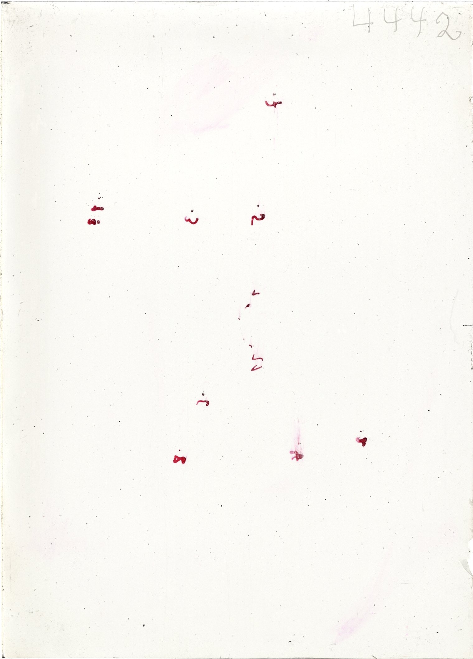 Scan ST04442