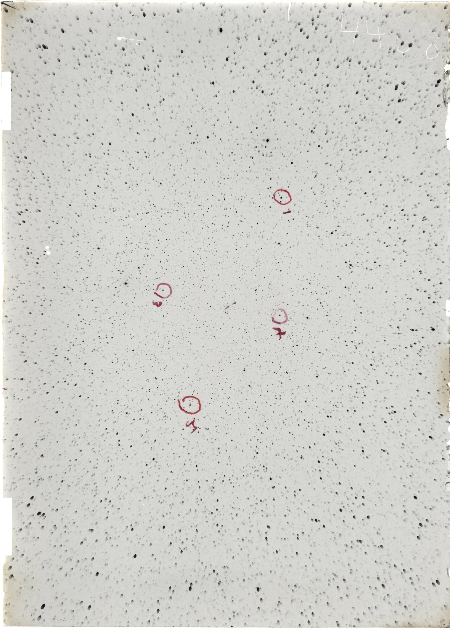 Scan ST04458