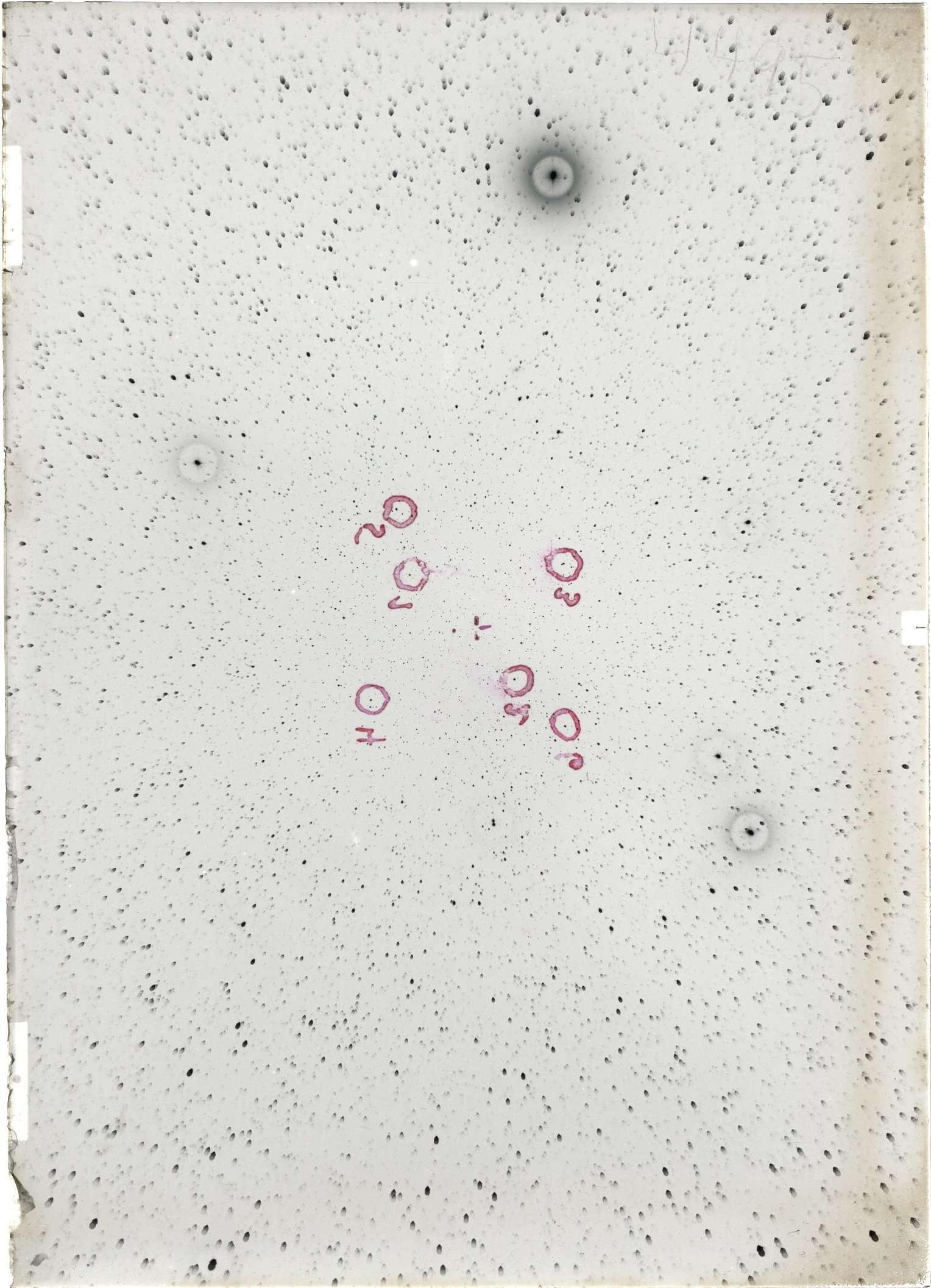 Scan ST04495