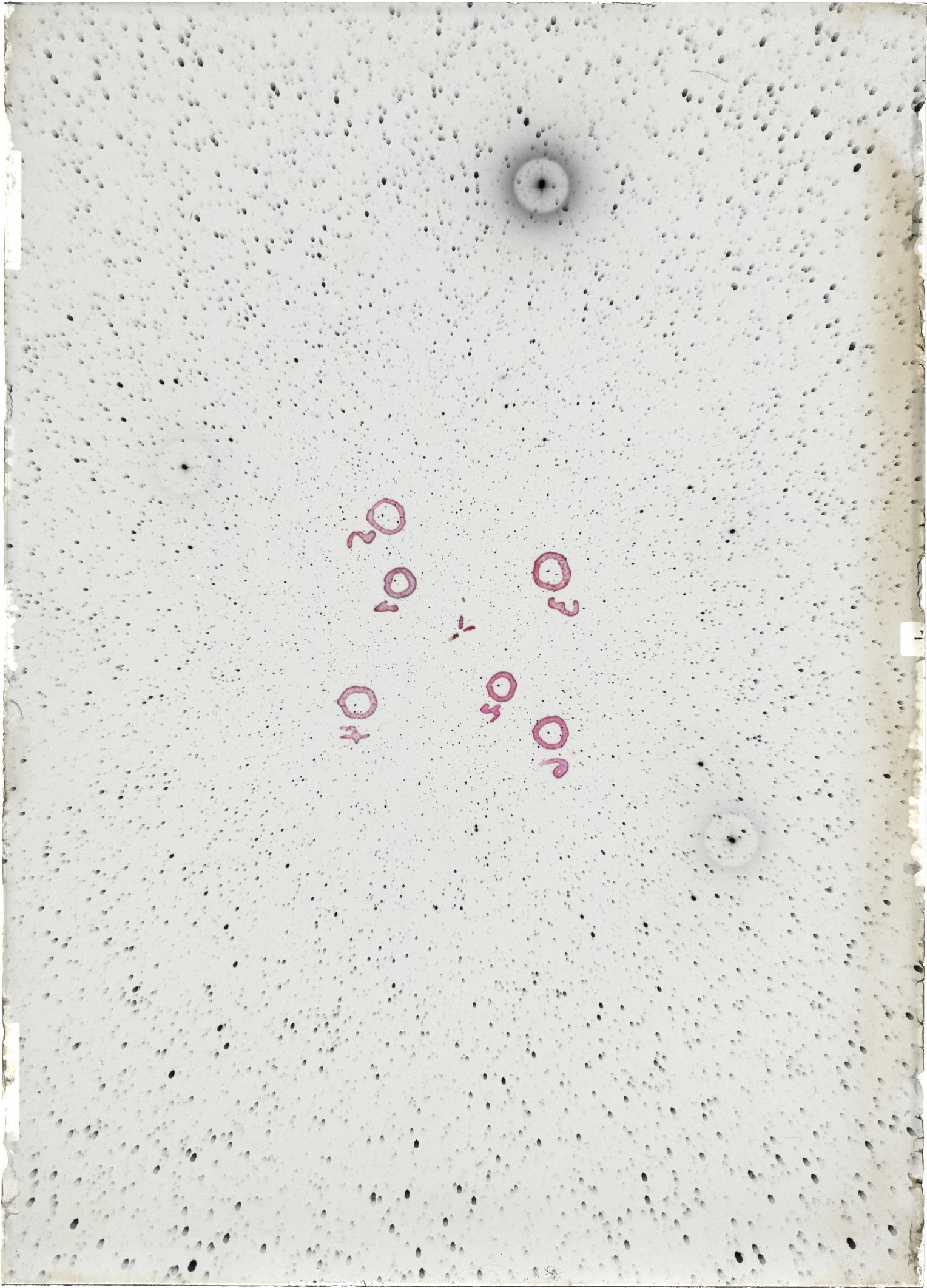 Scan ST04513