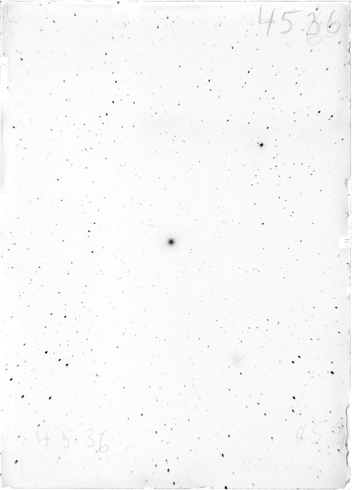Scan ST04536