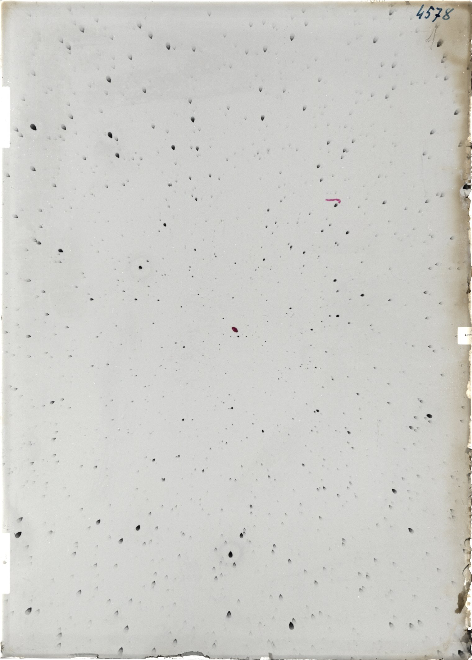 Scan ST04578