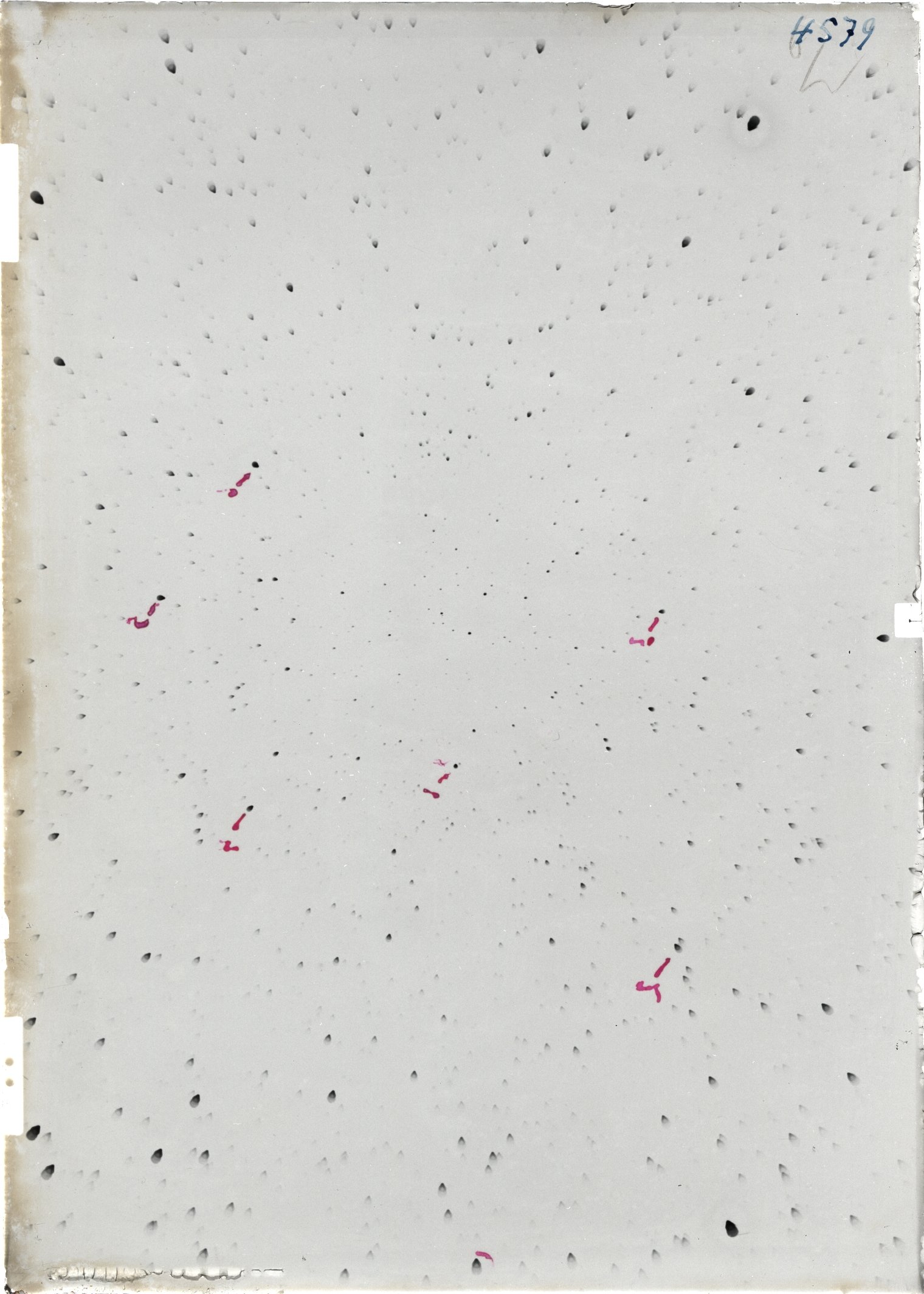 Scan ST04579