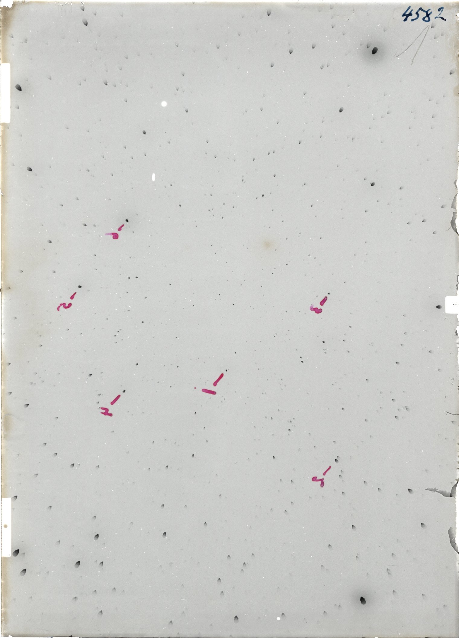 Scan ST04582