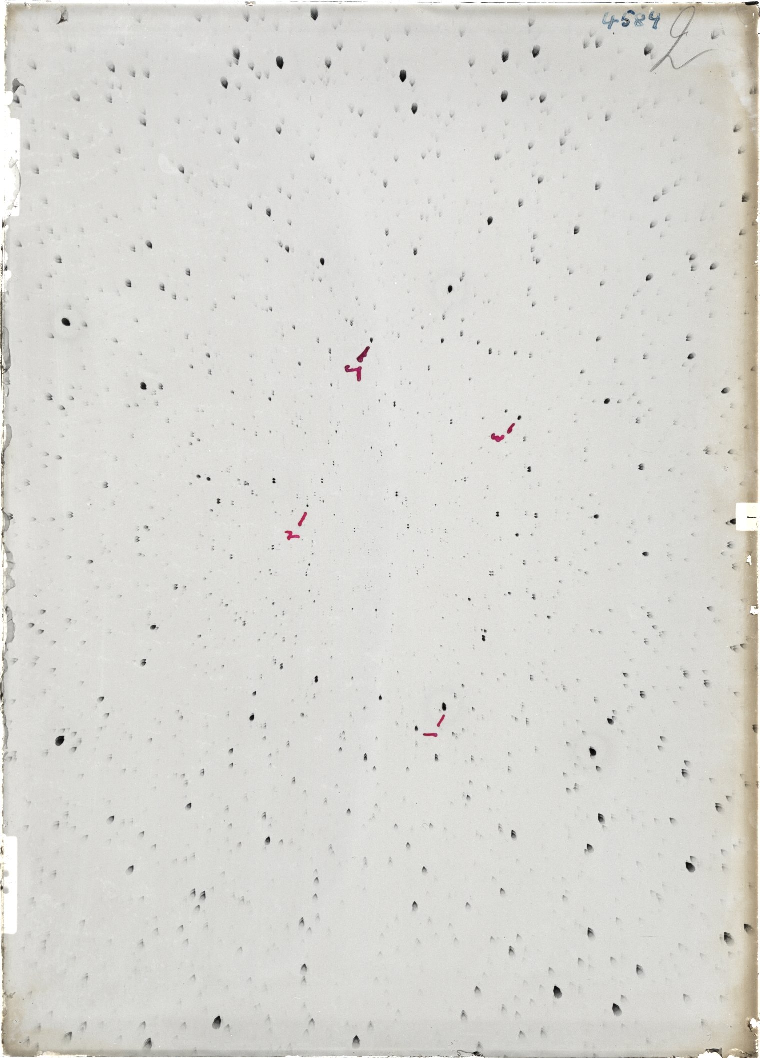 Scan ST04584