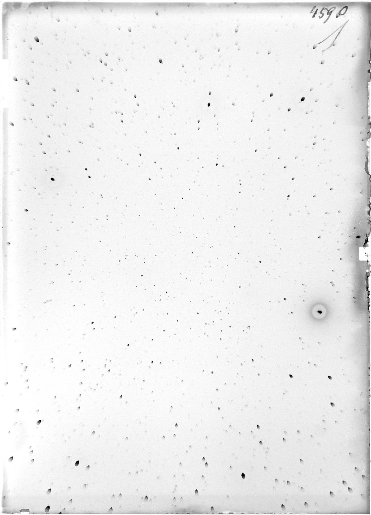 Scan ST04590