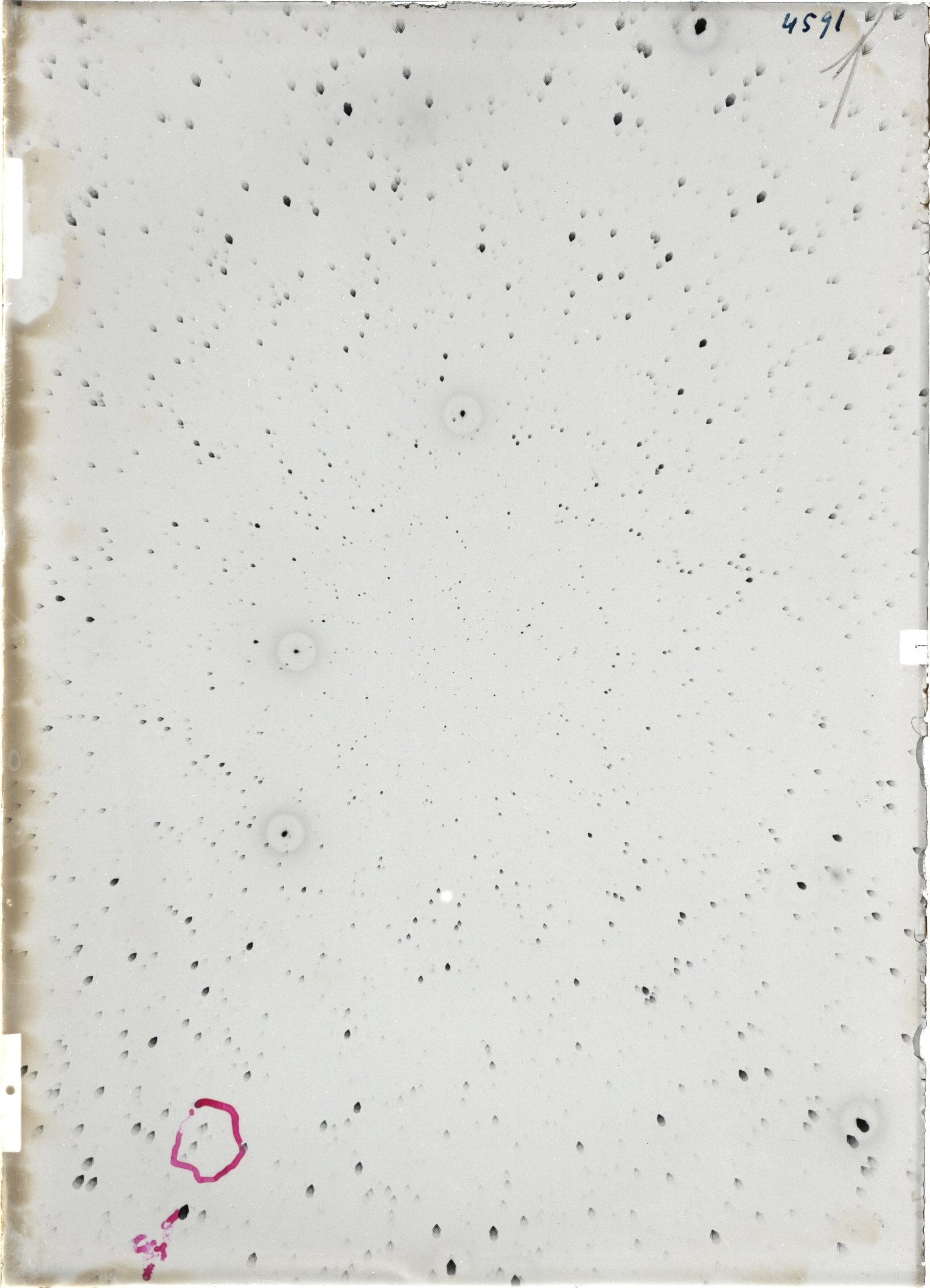 Scan ST04591