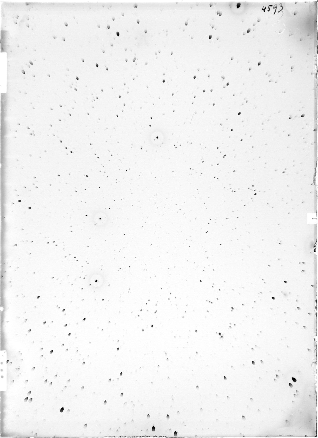 Scan ST04593