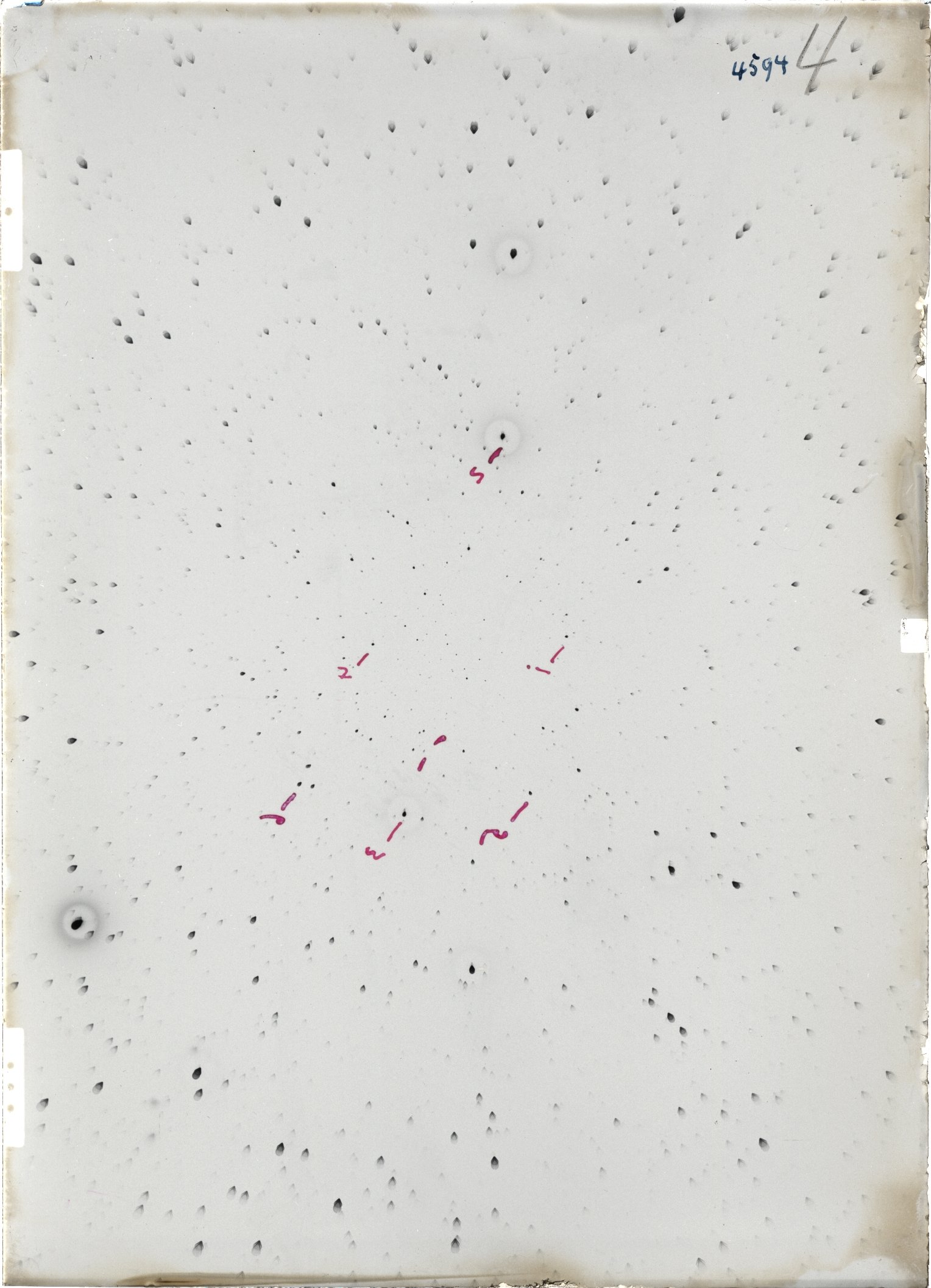 Scan ST04594