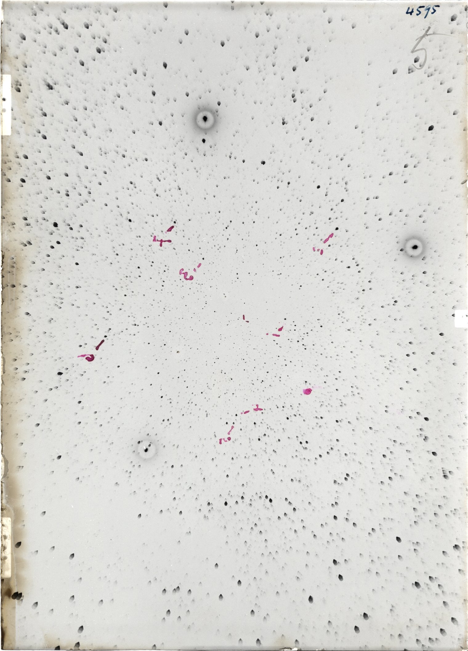 Scan ST04595