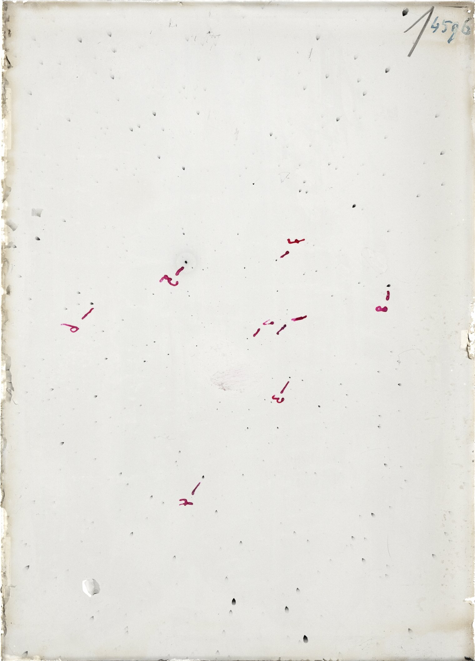 Scan ST04596