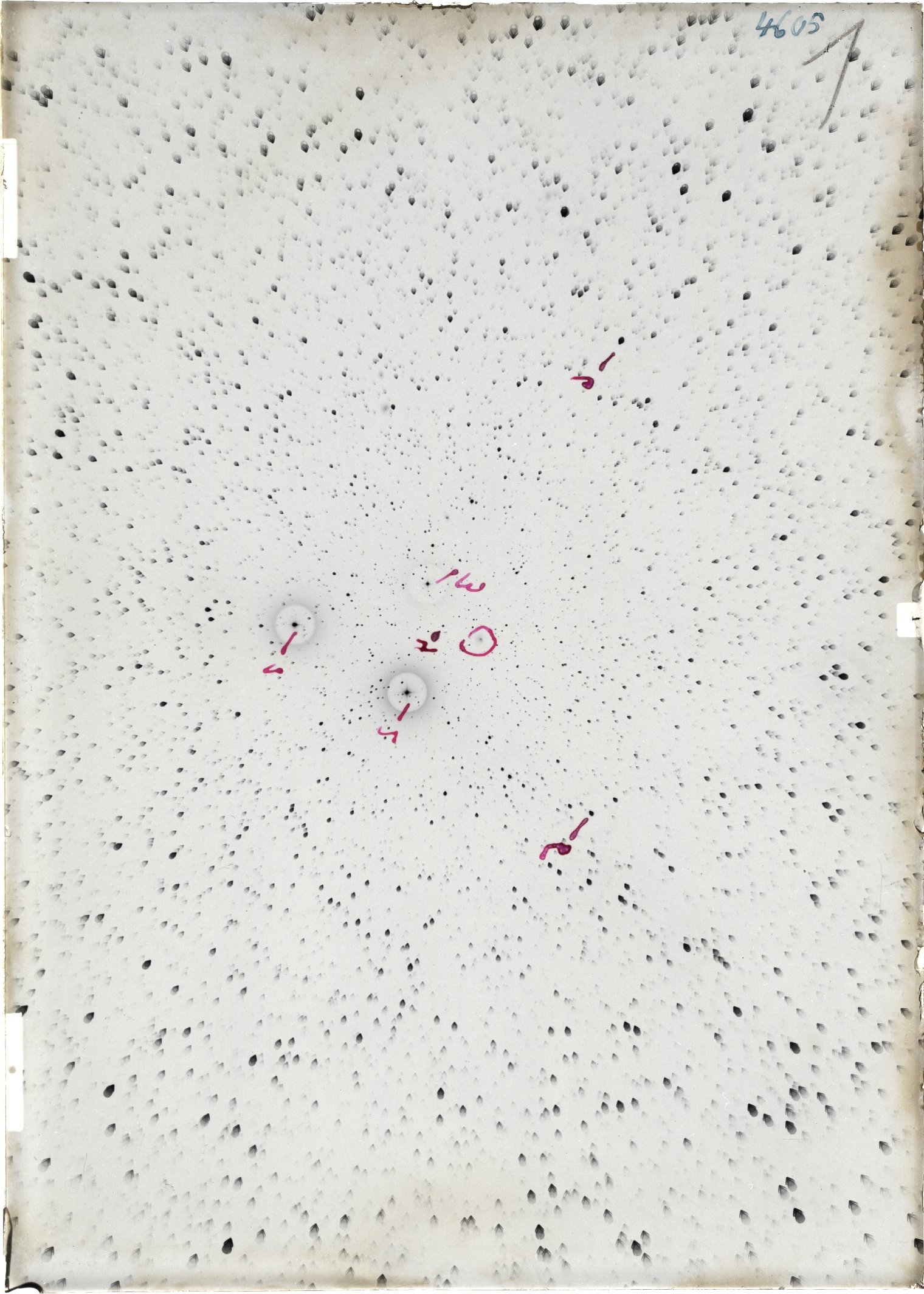 Scan ST04605