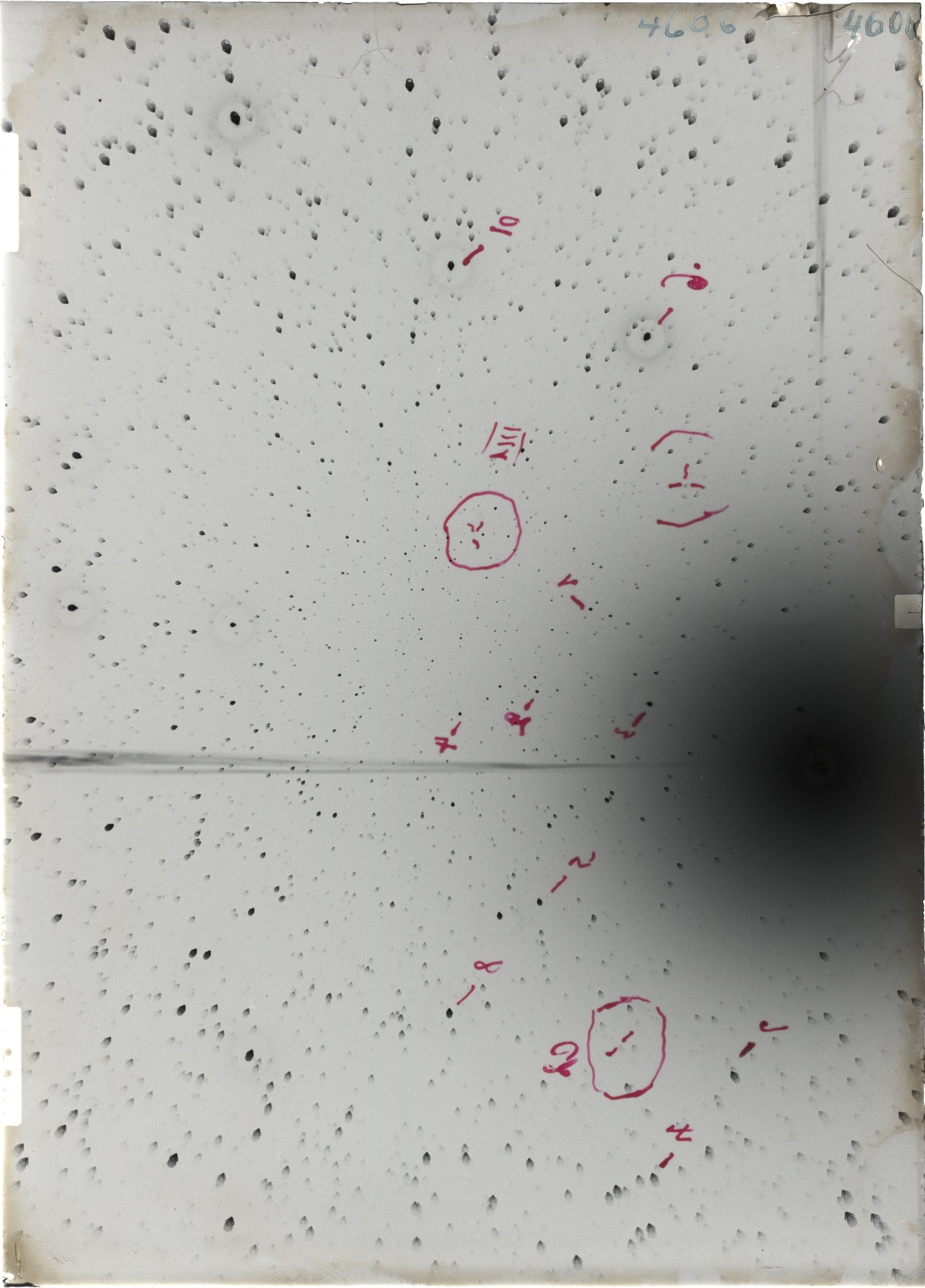 Scan ST04606