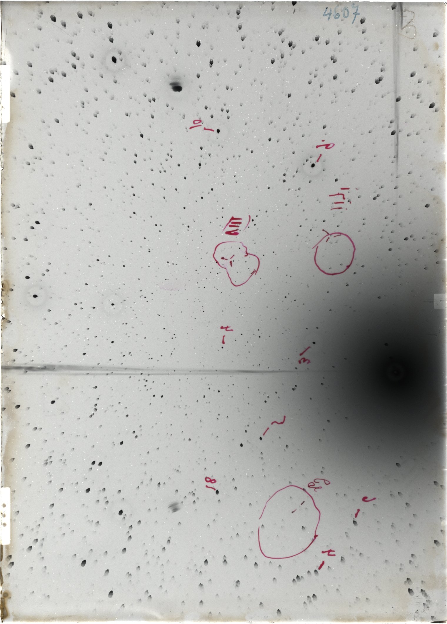 Scan ST04607