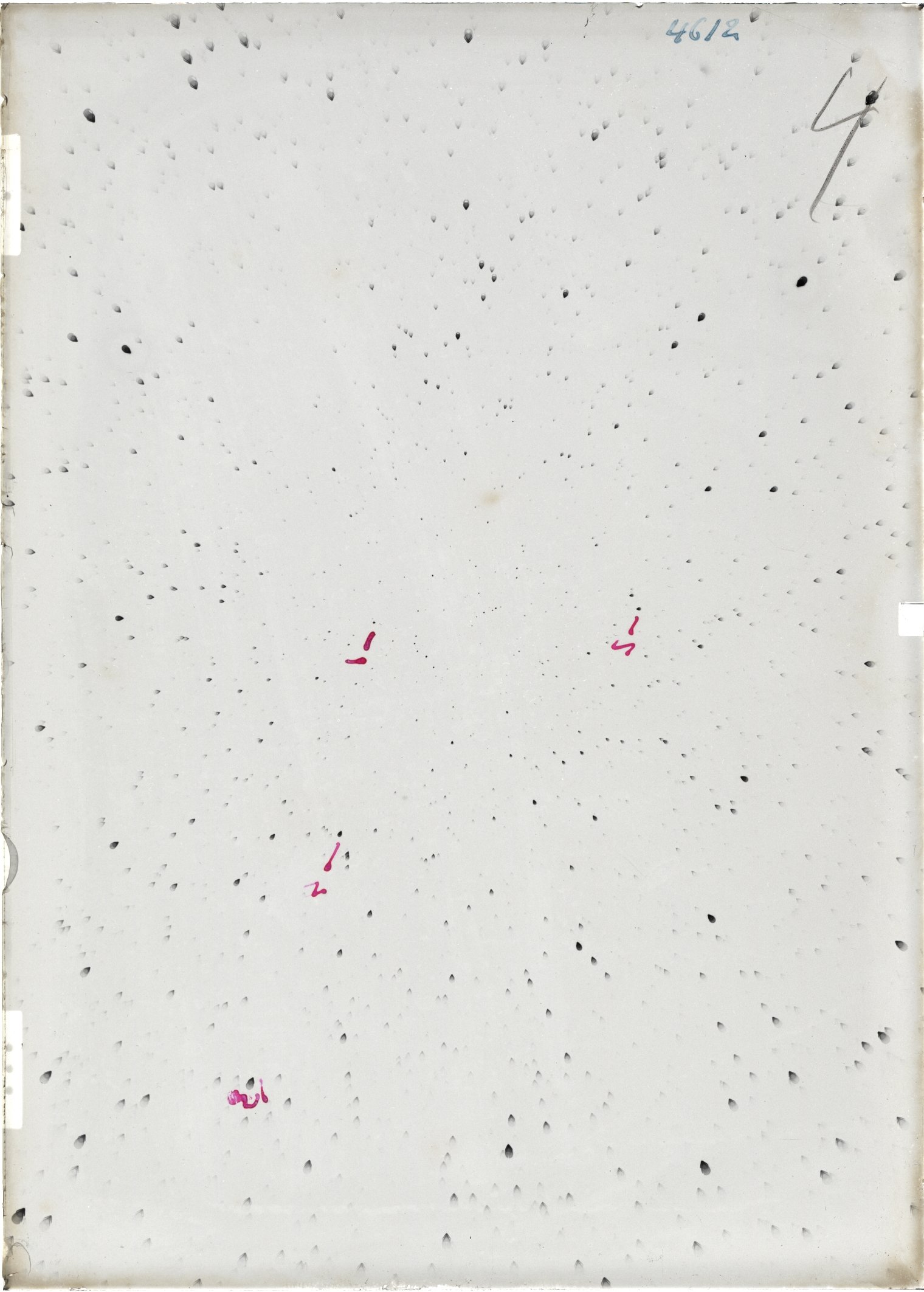Scan ST04612