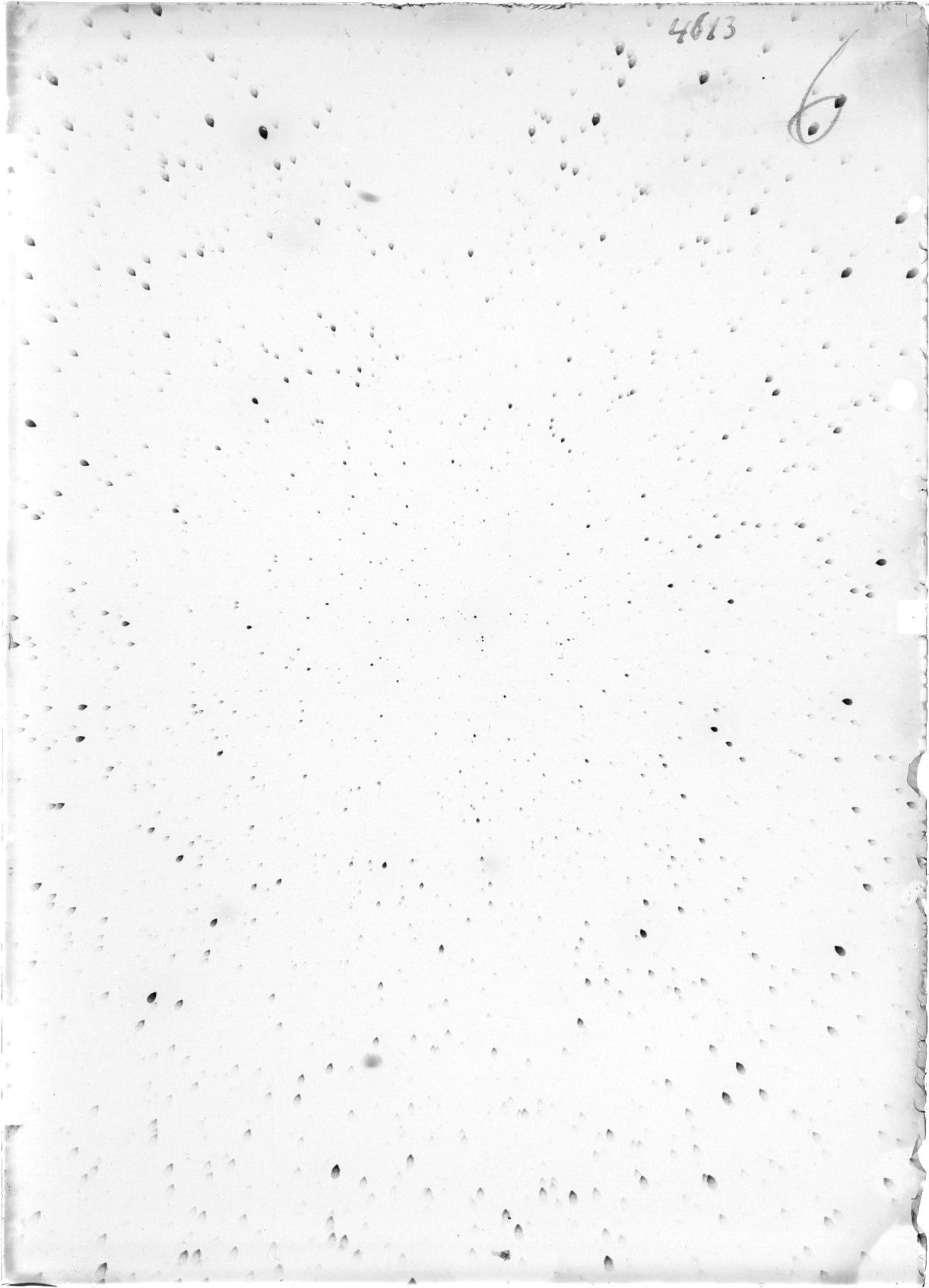 Scan ST04613