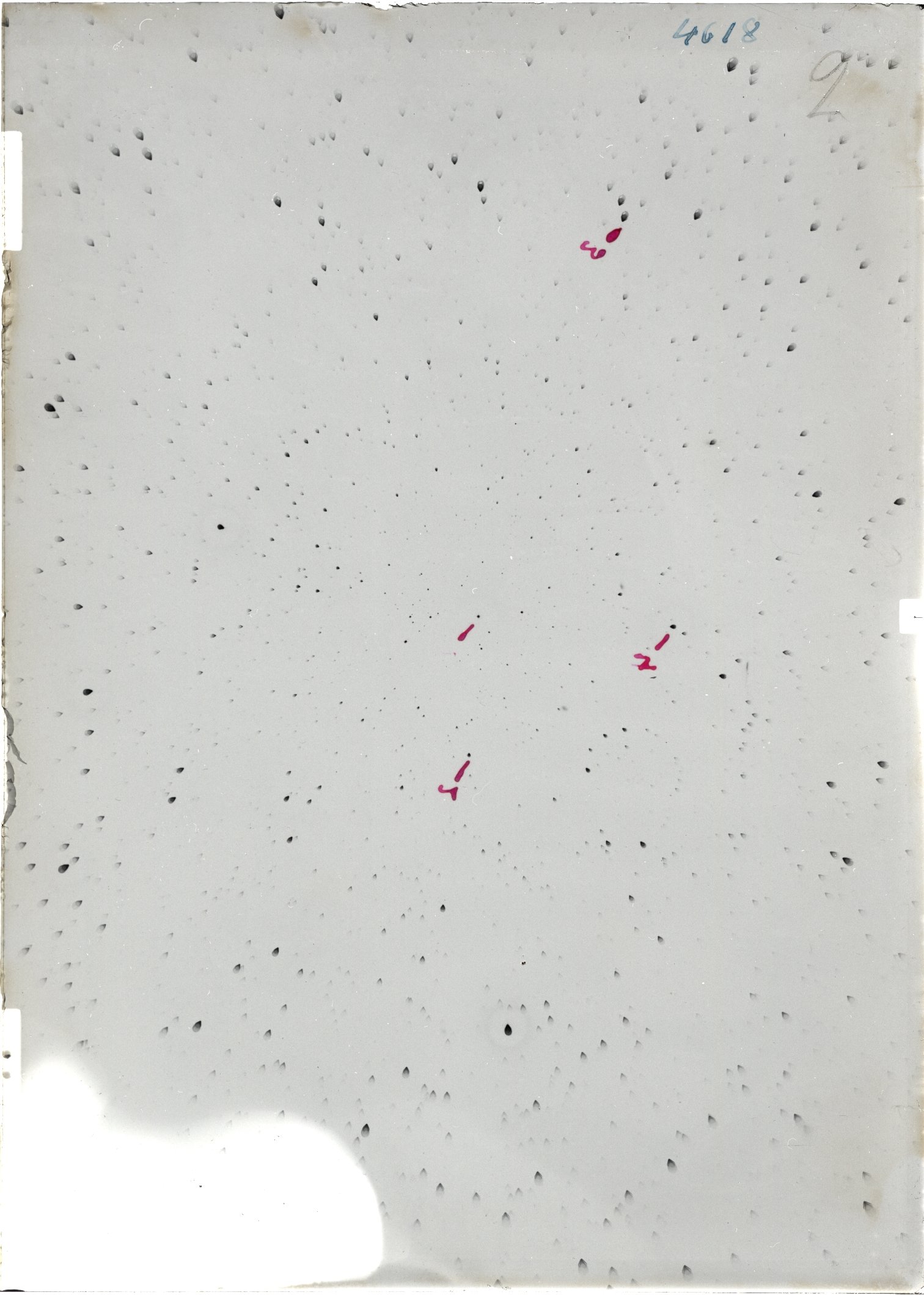 Scan ST04618