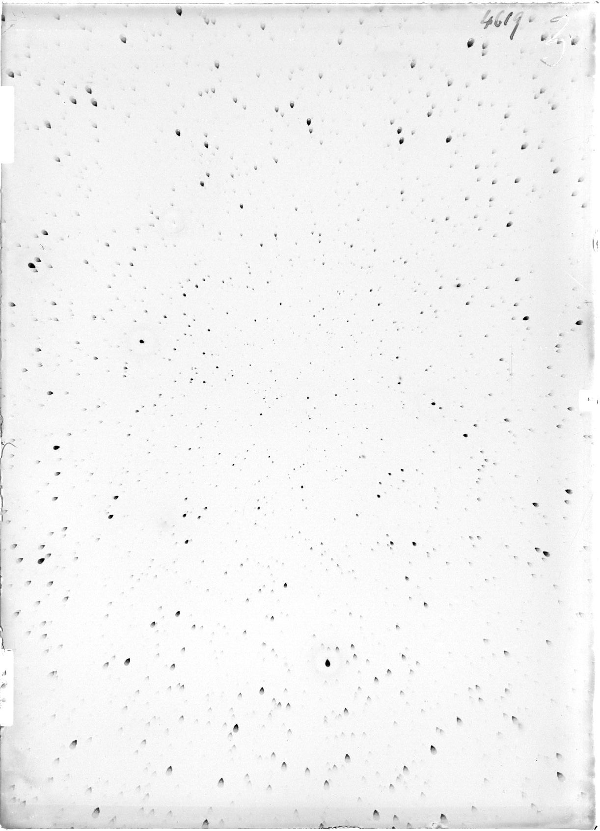 Scan ST04619