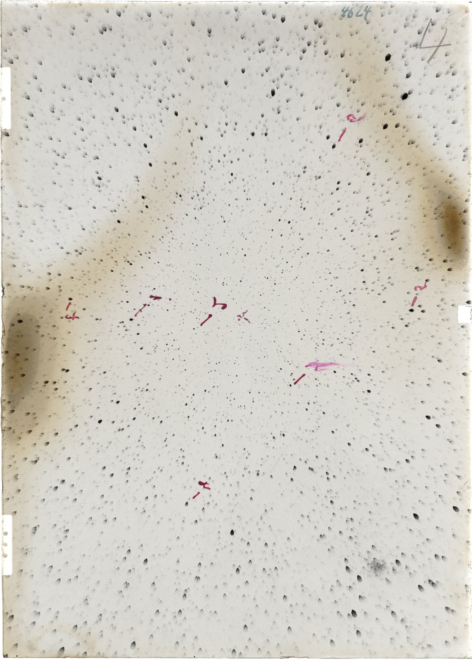 Scan ST04624