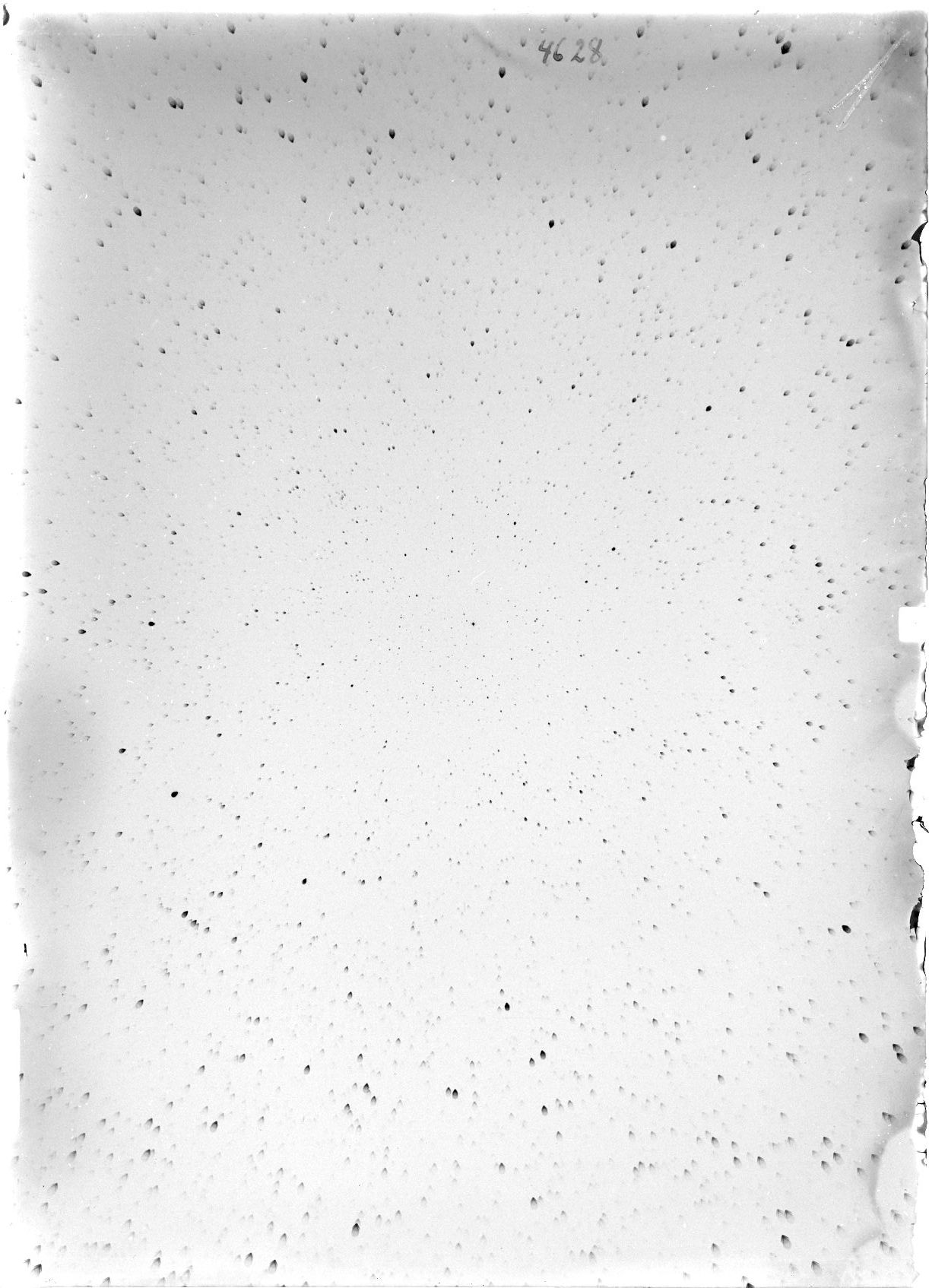 Scan ST04628