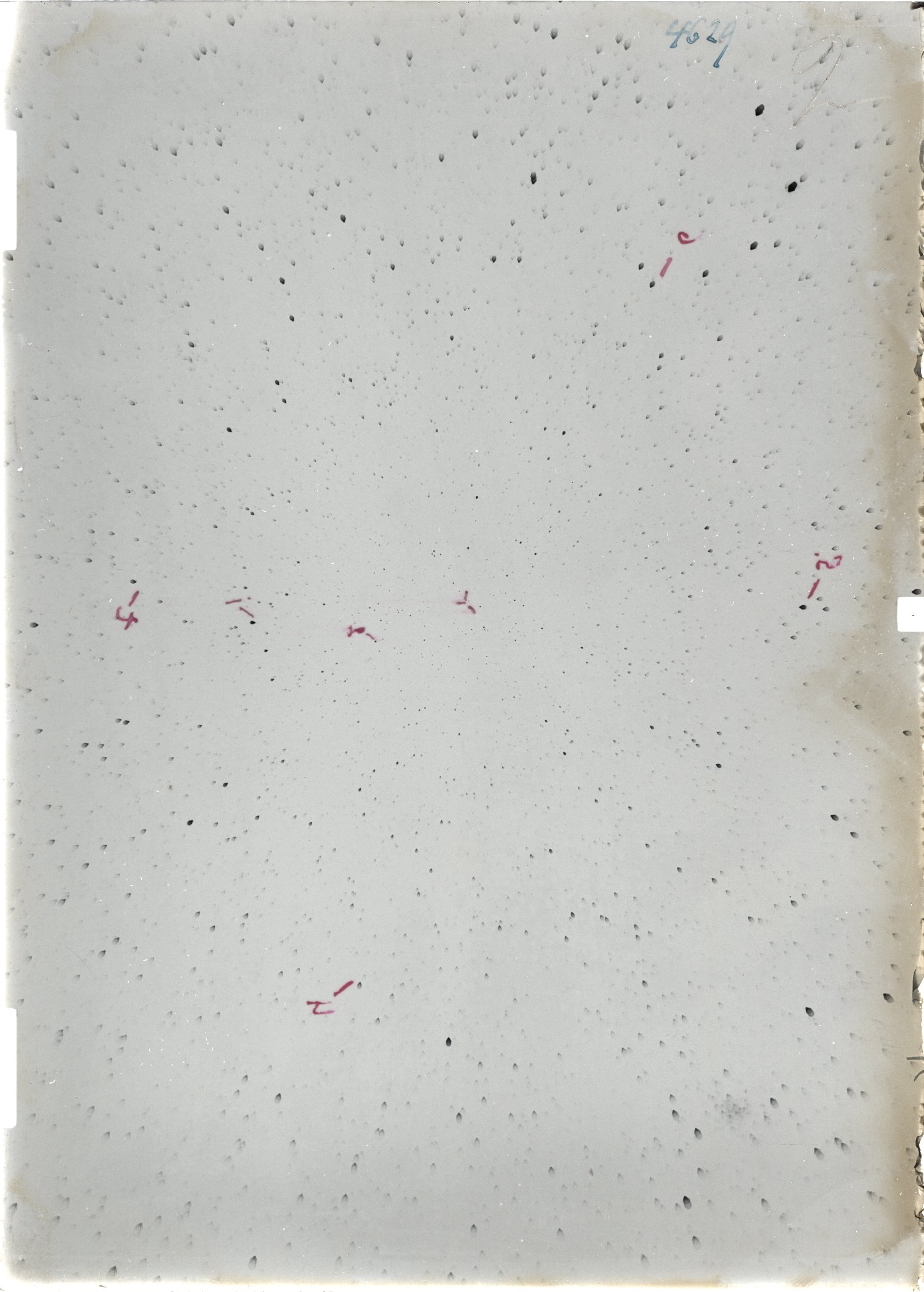 Scan ST04629