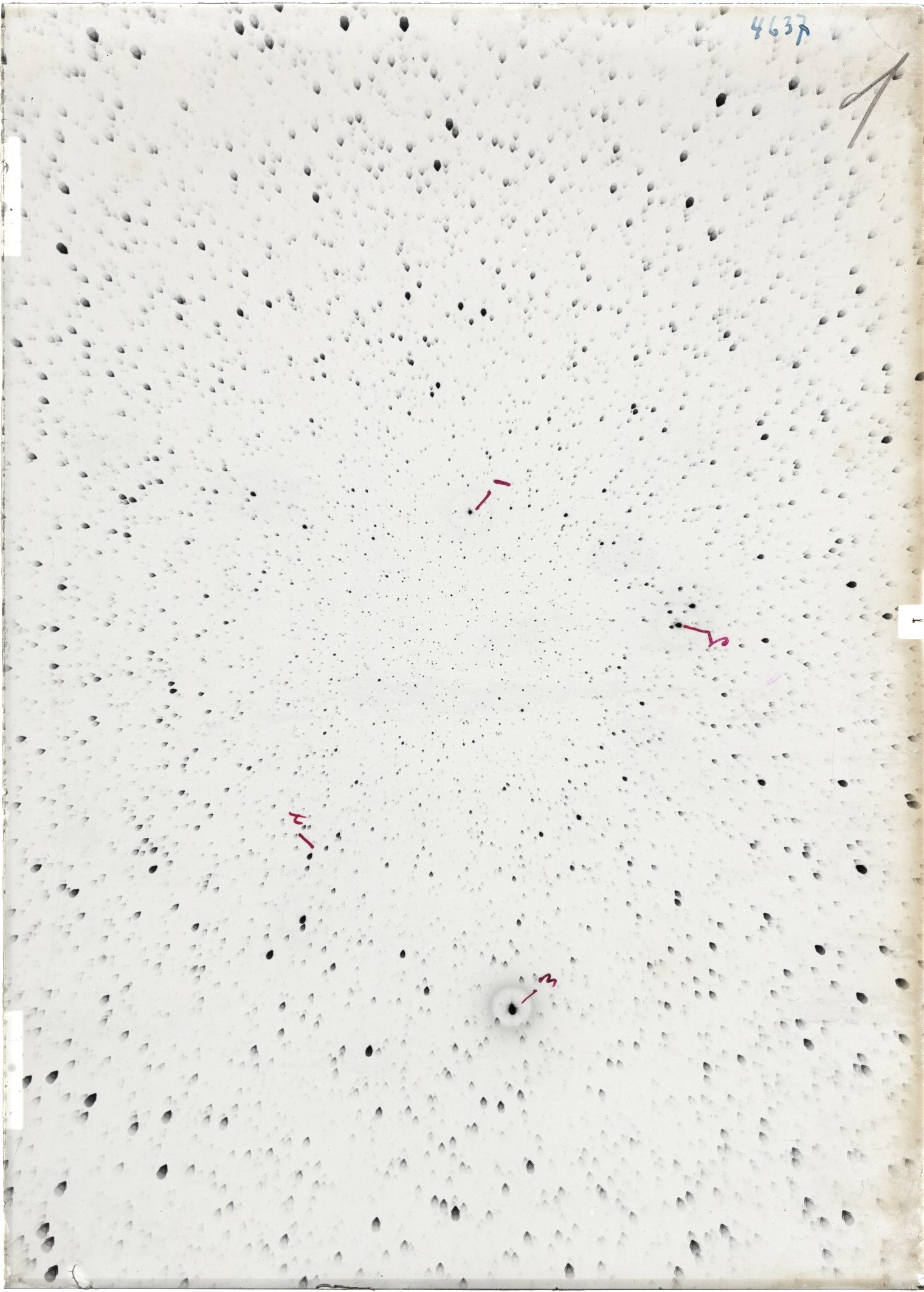Scan ST04637
