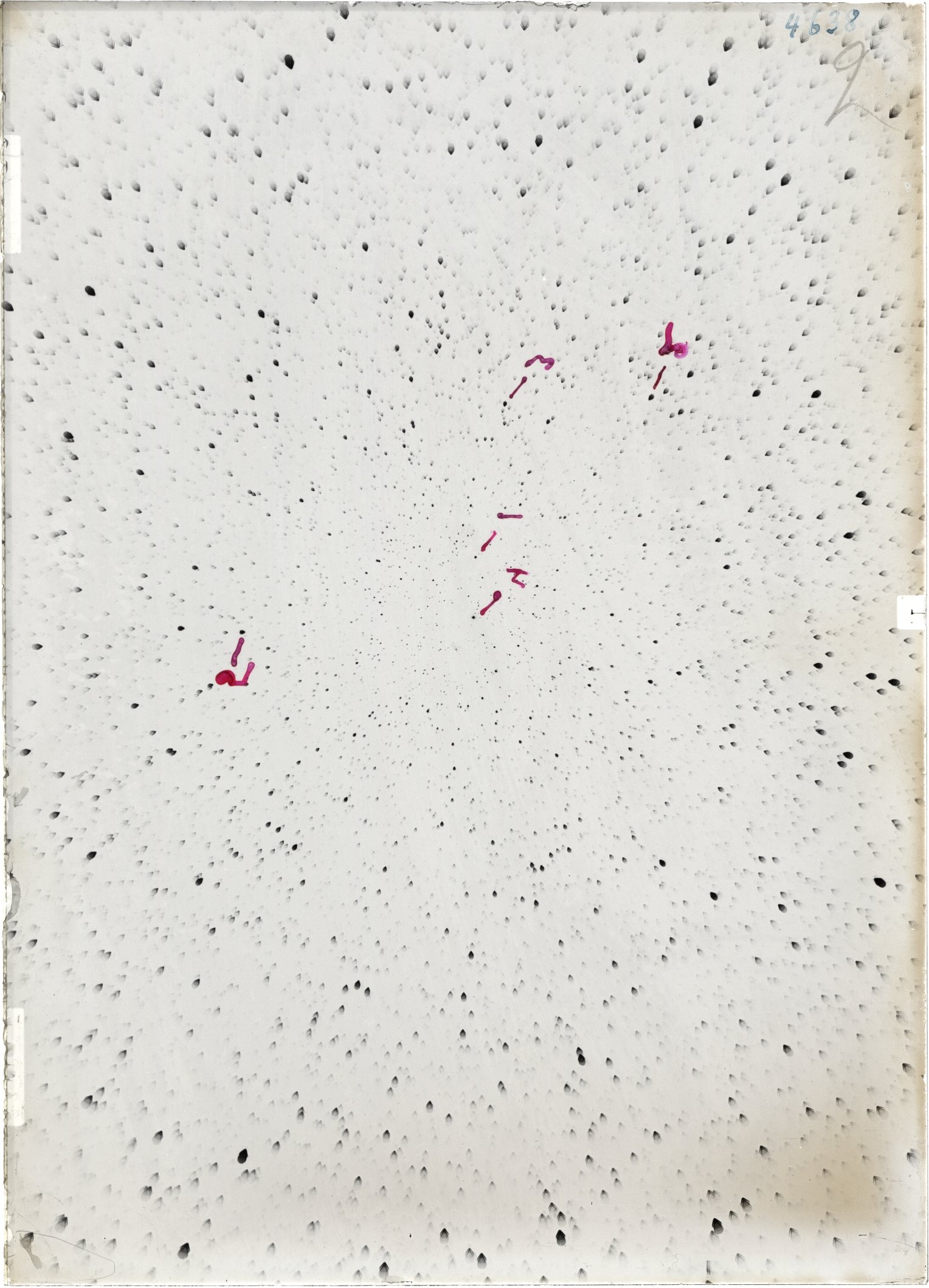 Scan ST04638