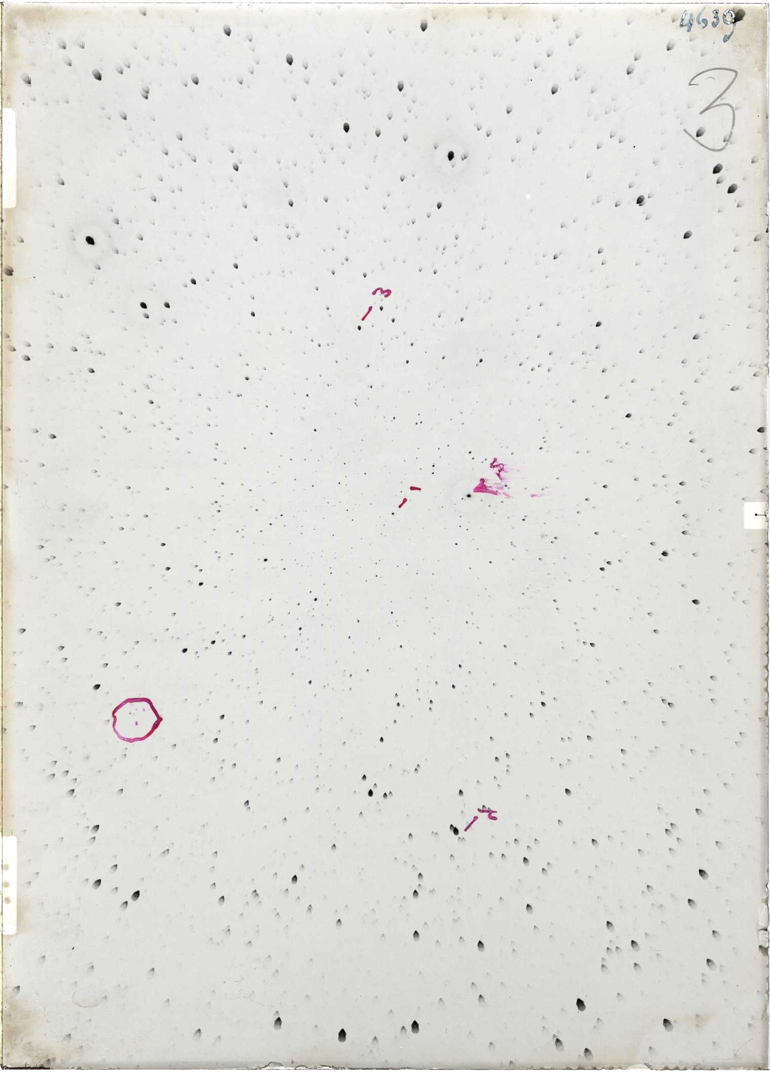 Scan ST04639