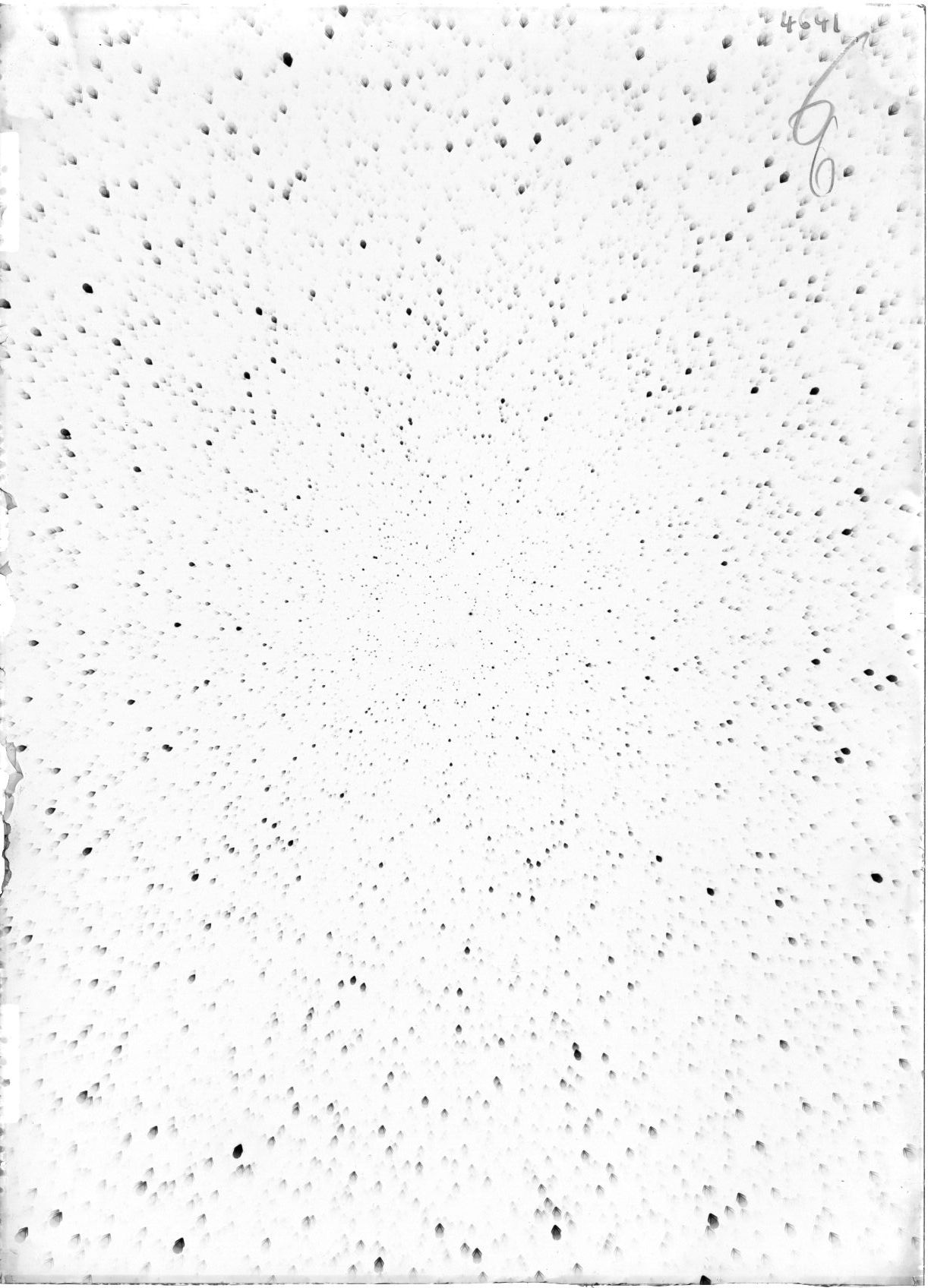 Scan ST04641