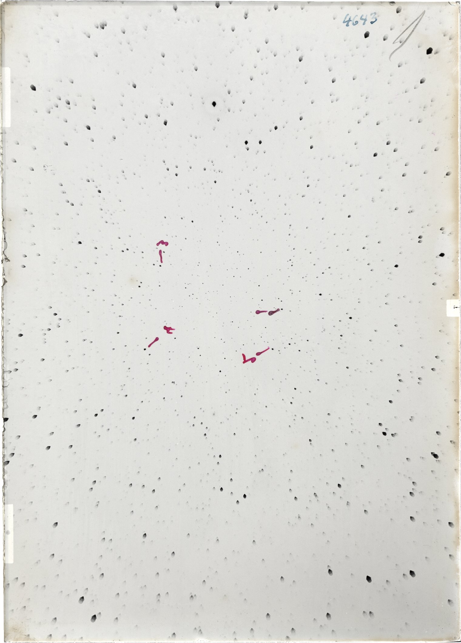 Scan ST04643